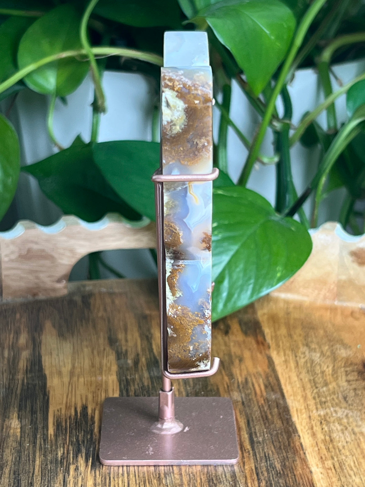 Scenic Moss Agate Butterfly: A