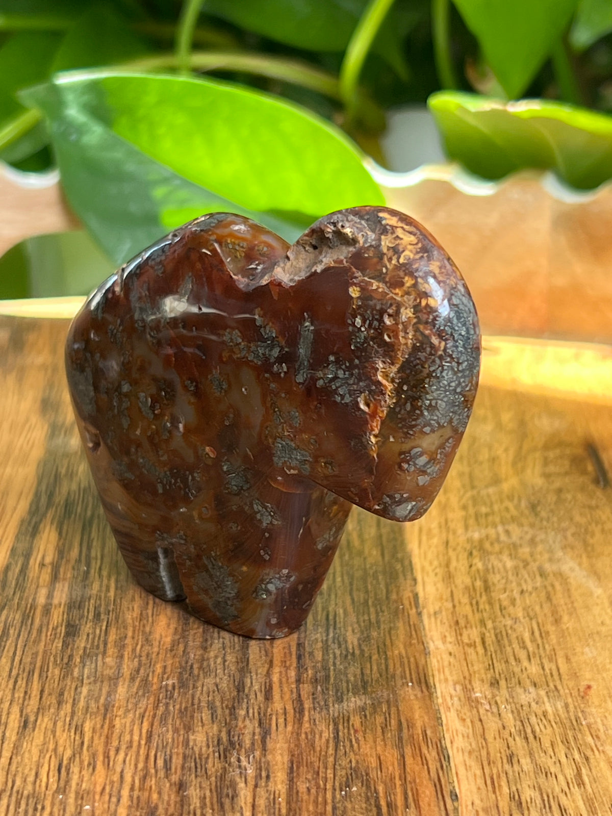 Marcasite Buffalo: CB