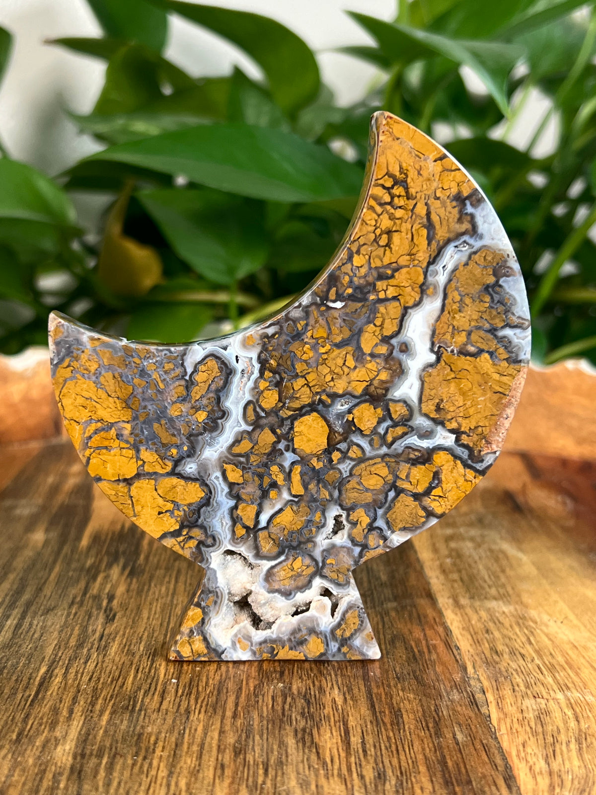 Brecciated Jasper Self Standing Moons