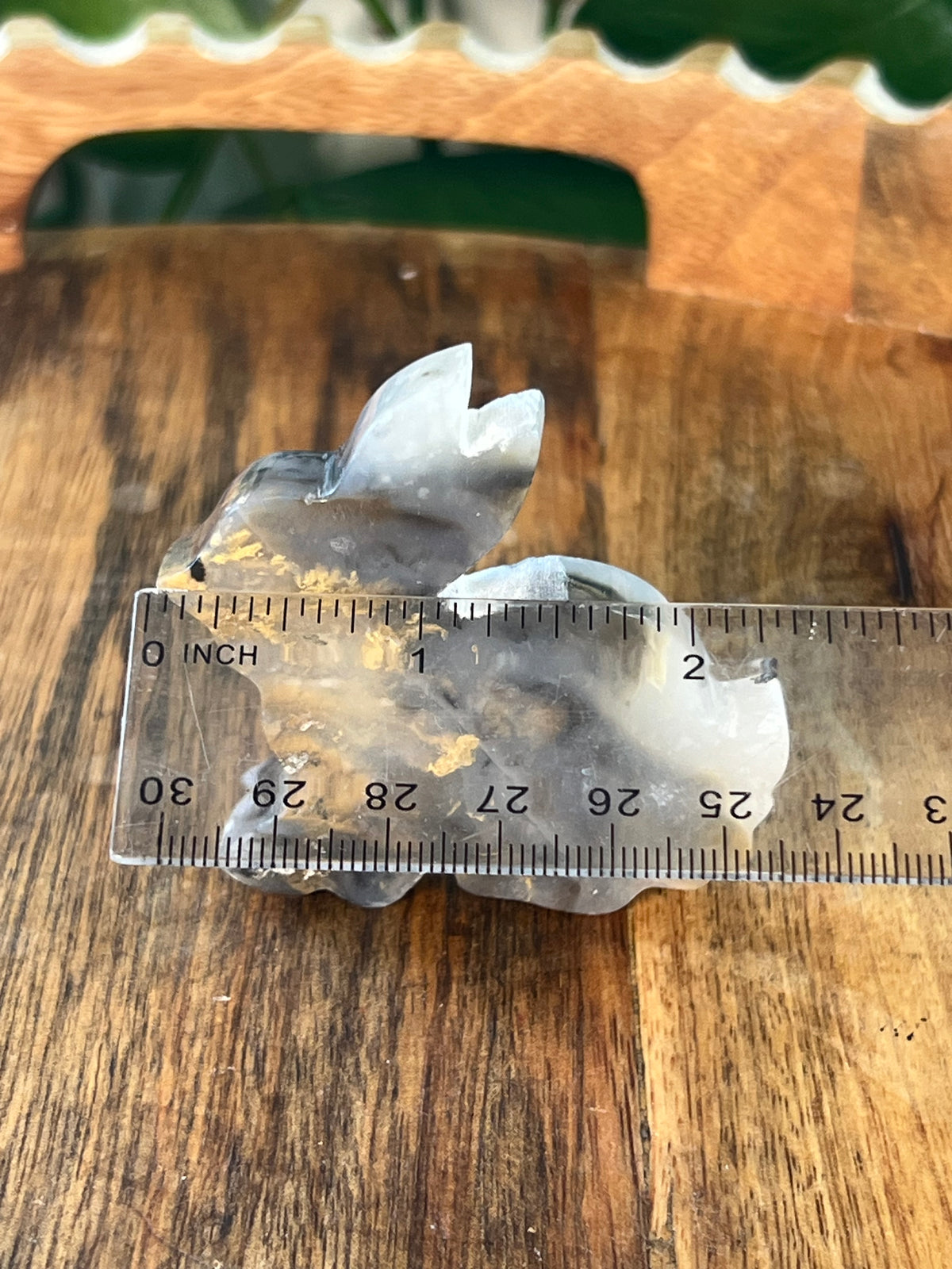 Dendritic Tiger Agate Bunnies