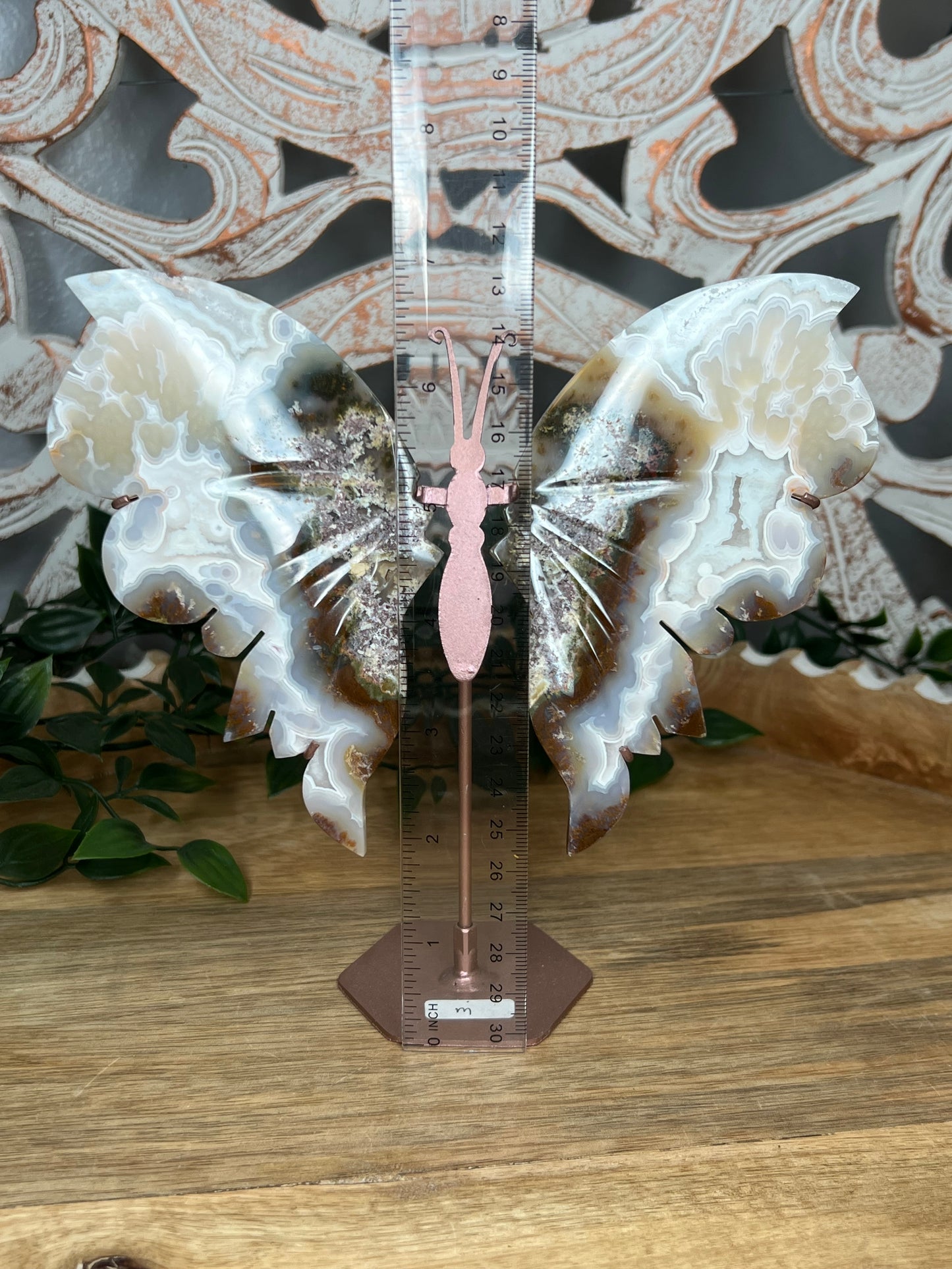 Scenic Moss Agate Wings