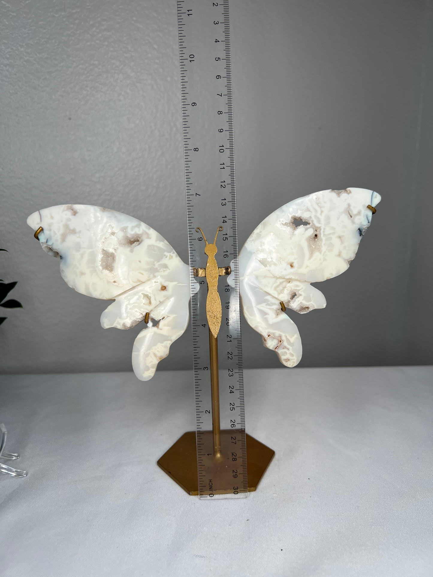 White Plume Agate Wings
