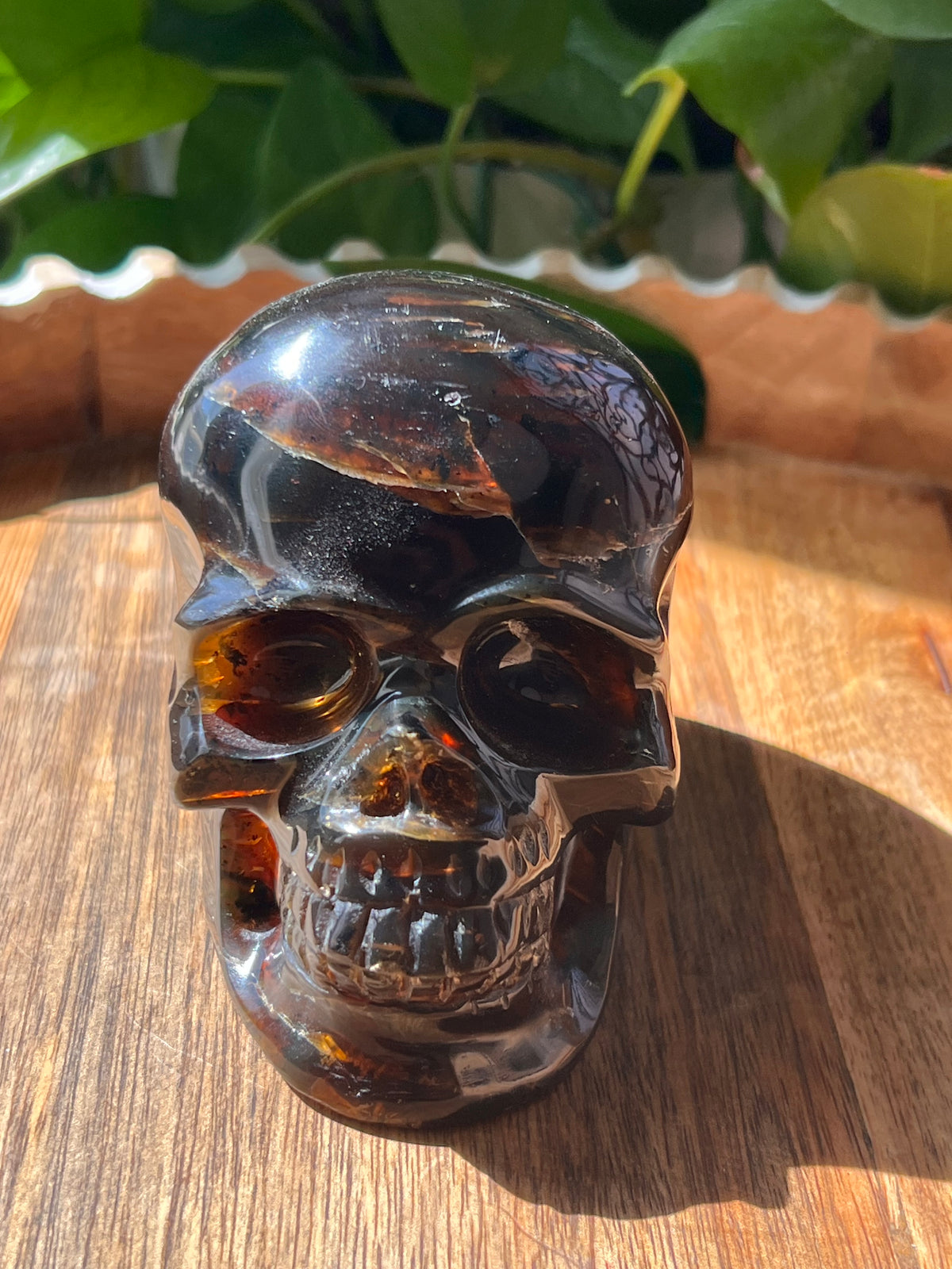Blue Amber Skull: NX
