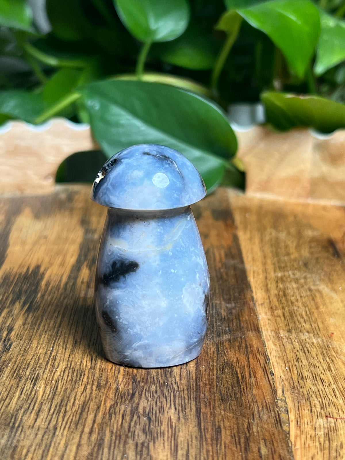 Blue Plume Agate Mushroom: A