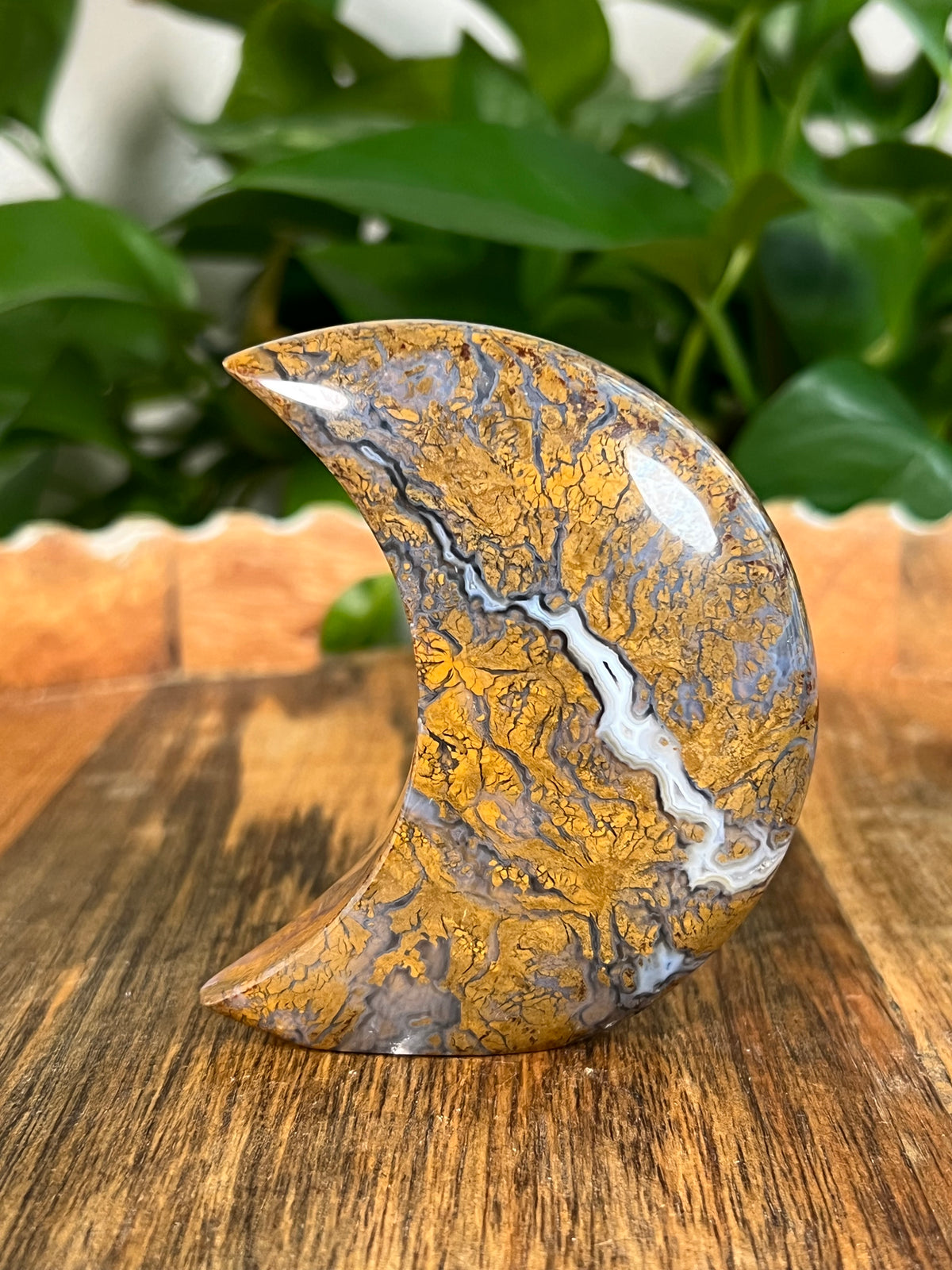 Brecciated Jasper Self Standing Moon: DB