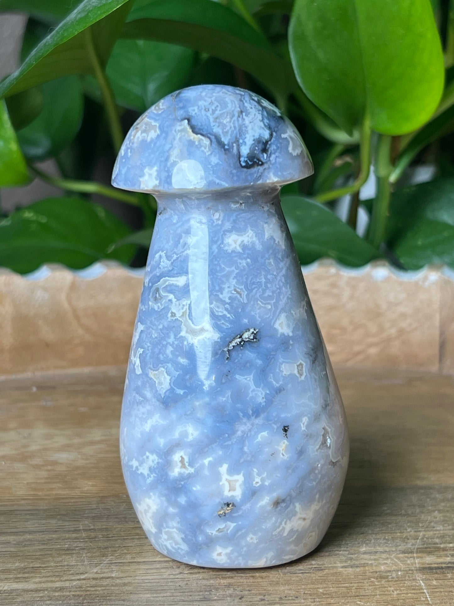 Blue Plume Agate Mushroom: PL