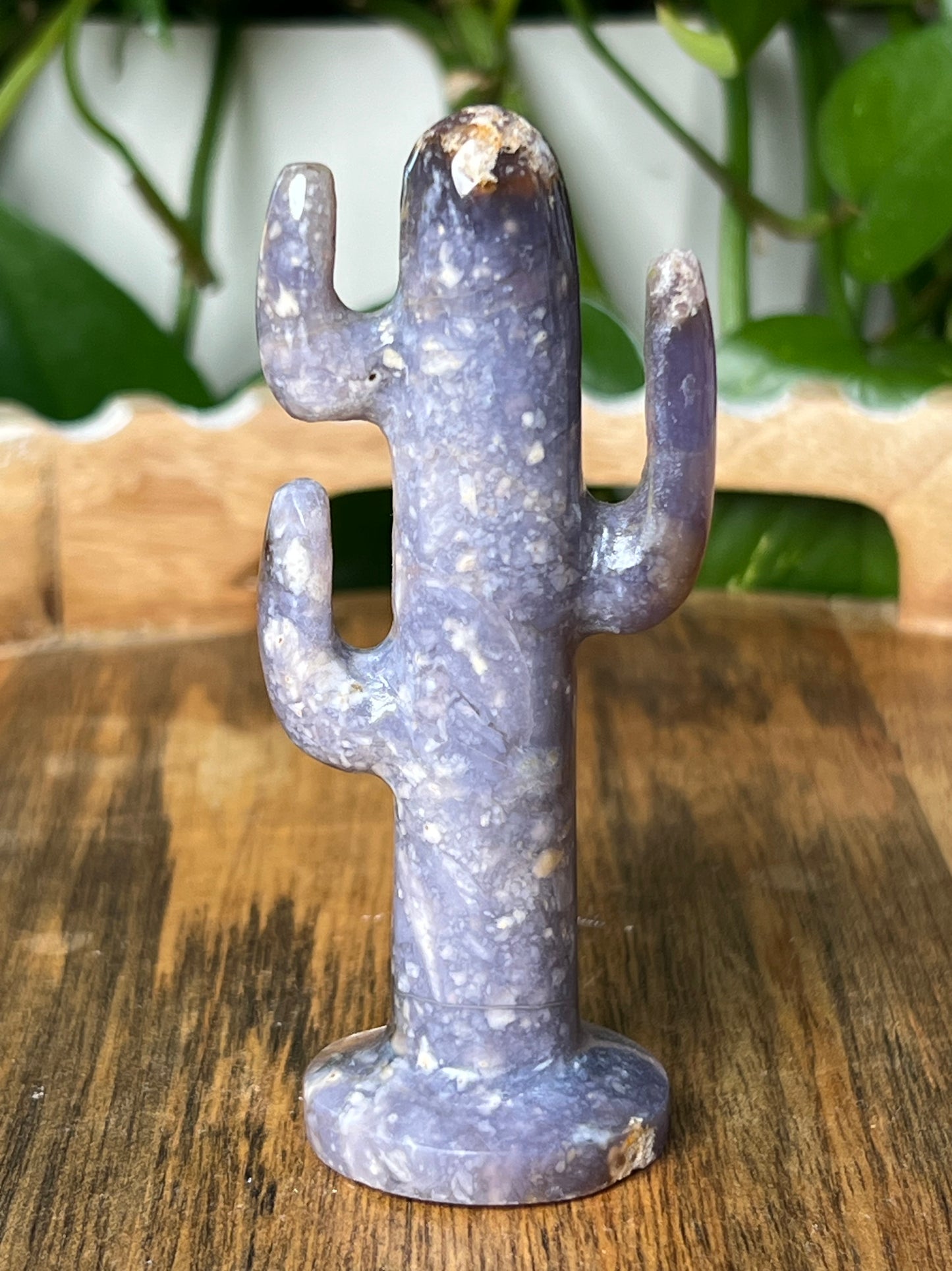 Purple Chalcedony Cactus