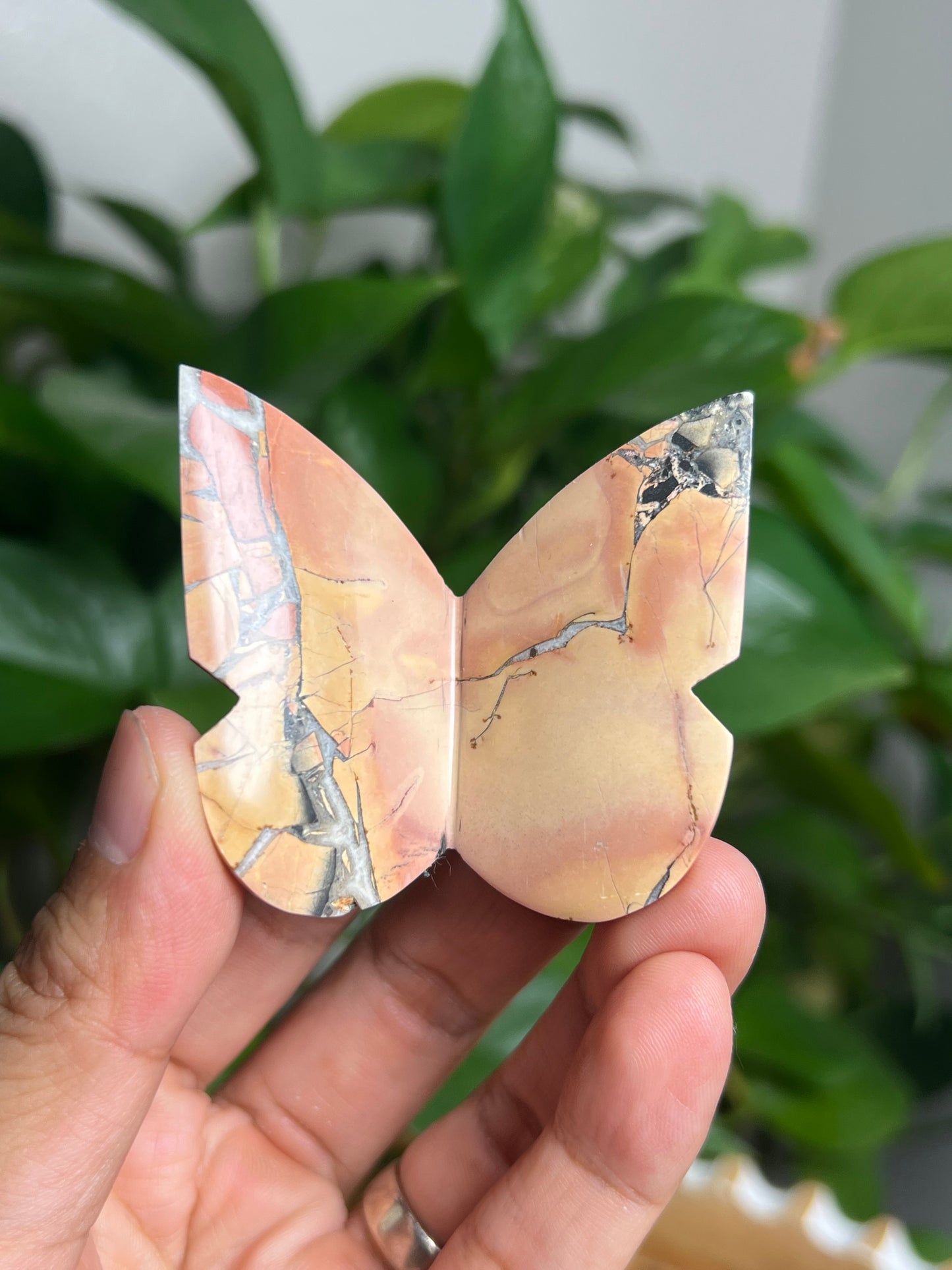 Maligano 3D Butterfly: AH