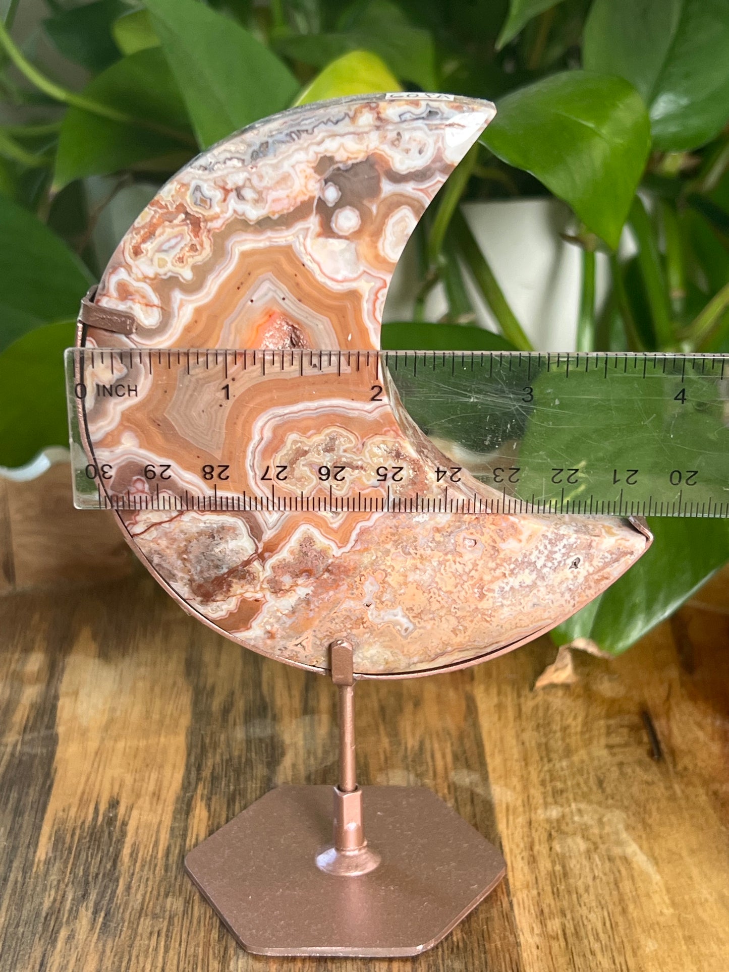 Crazy Lace Agate Moon PA