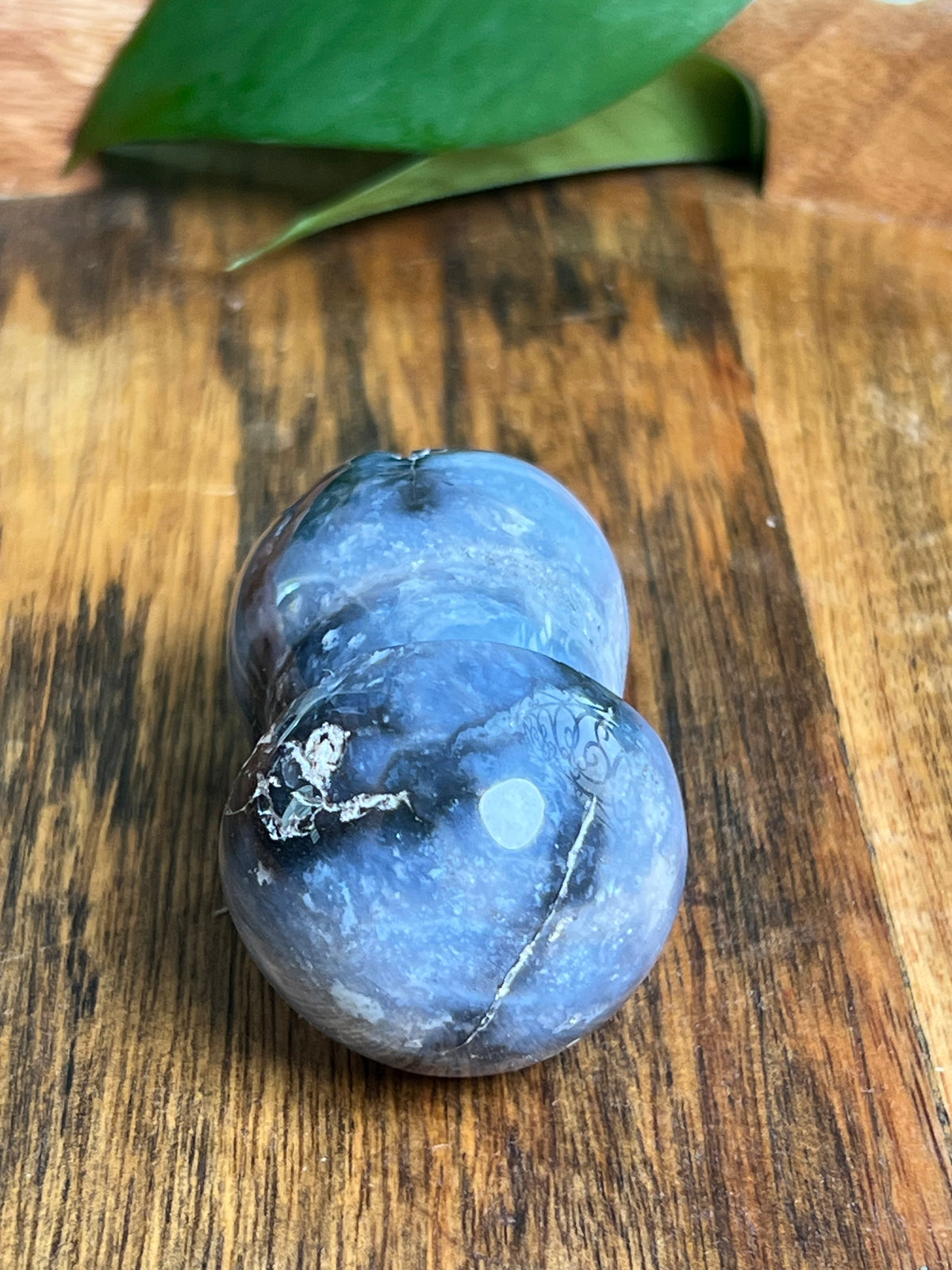 Blue Plume Agate Mushroom: CF