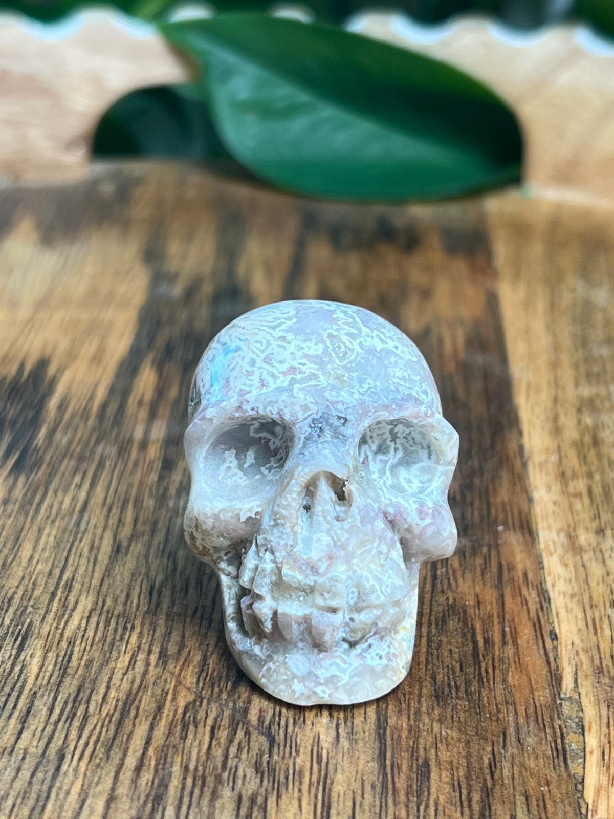 Sumatra Plume Agate Mini Skull: D