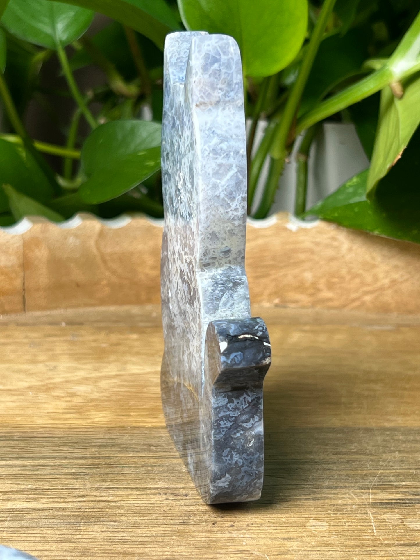 Blue Plume Agate Cat
