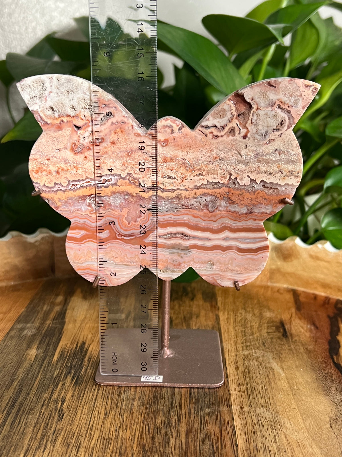 Crazy Lace Agate Butterfly: D
