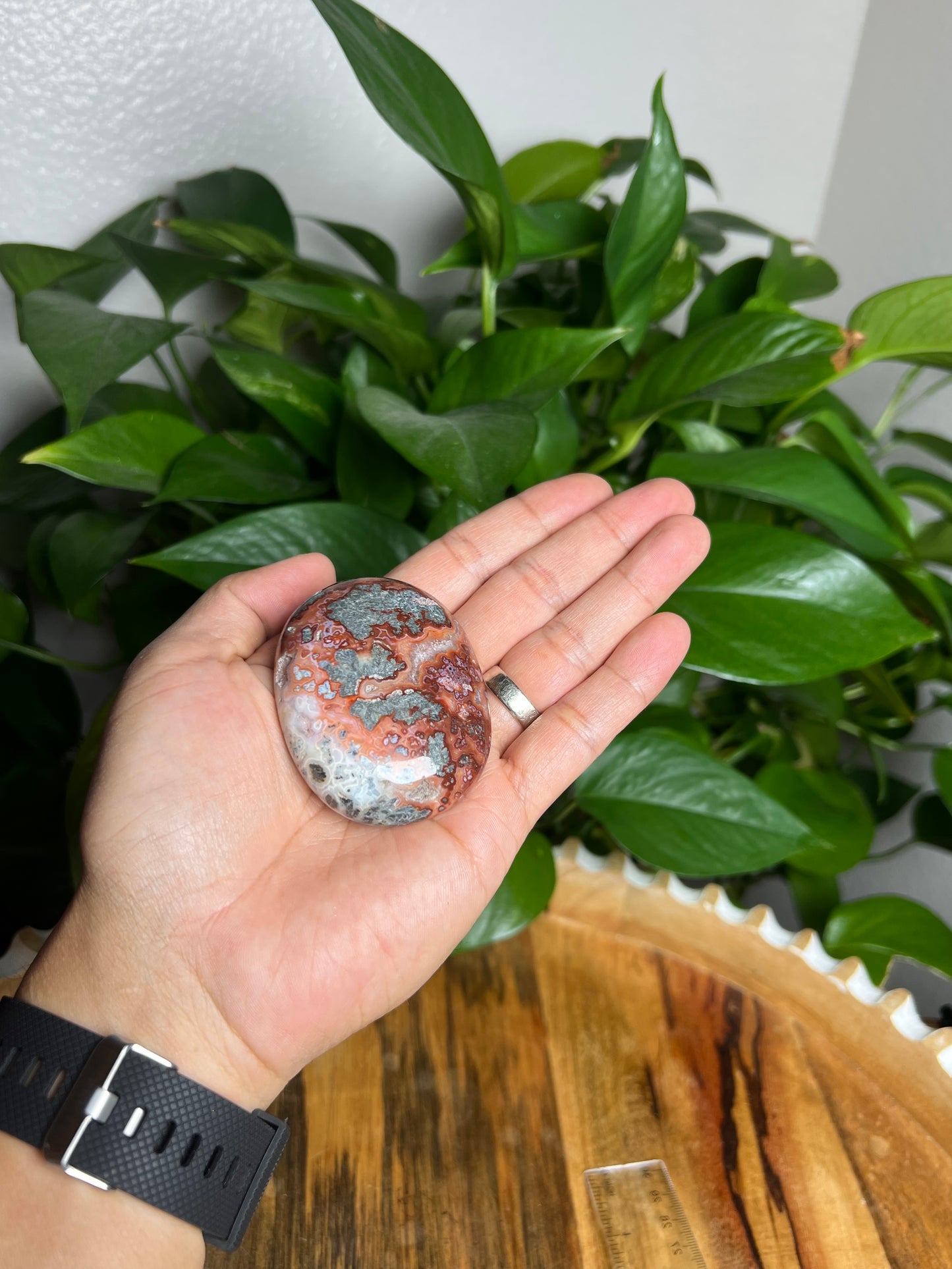 Marcasite Palmstone: Li