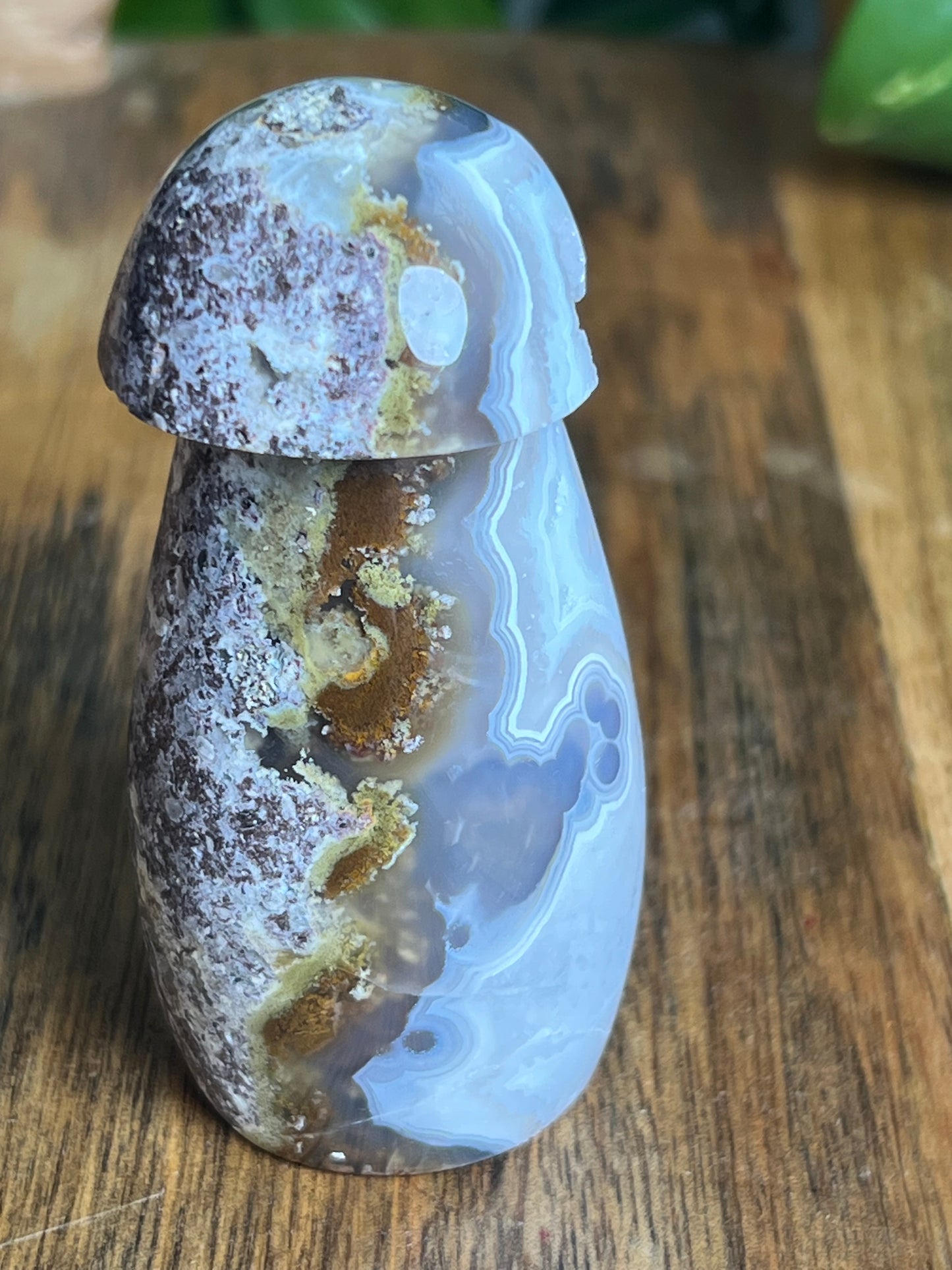 Scenic Moss Agate Mushroom