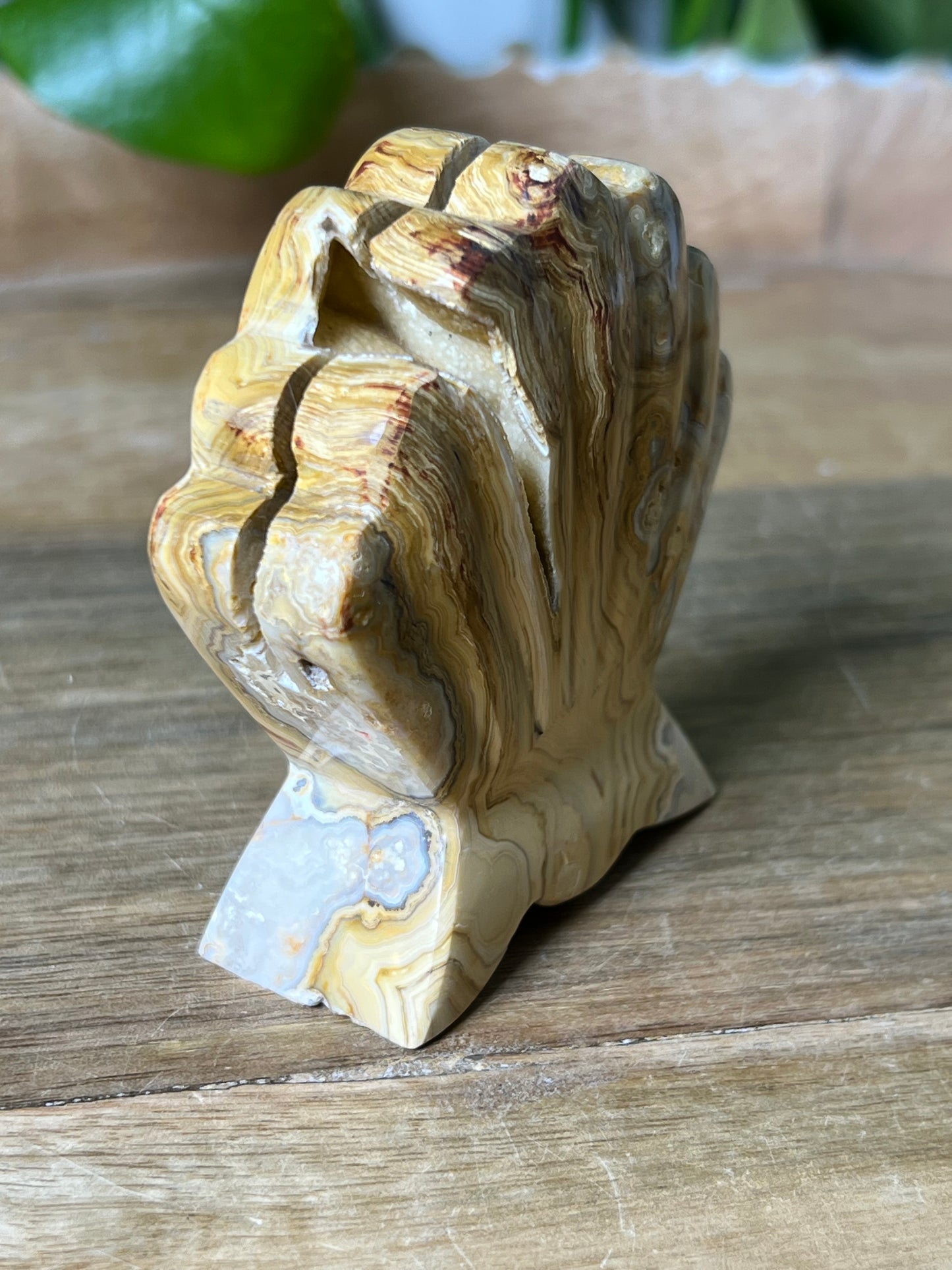 Crazy Lace Agate Shell