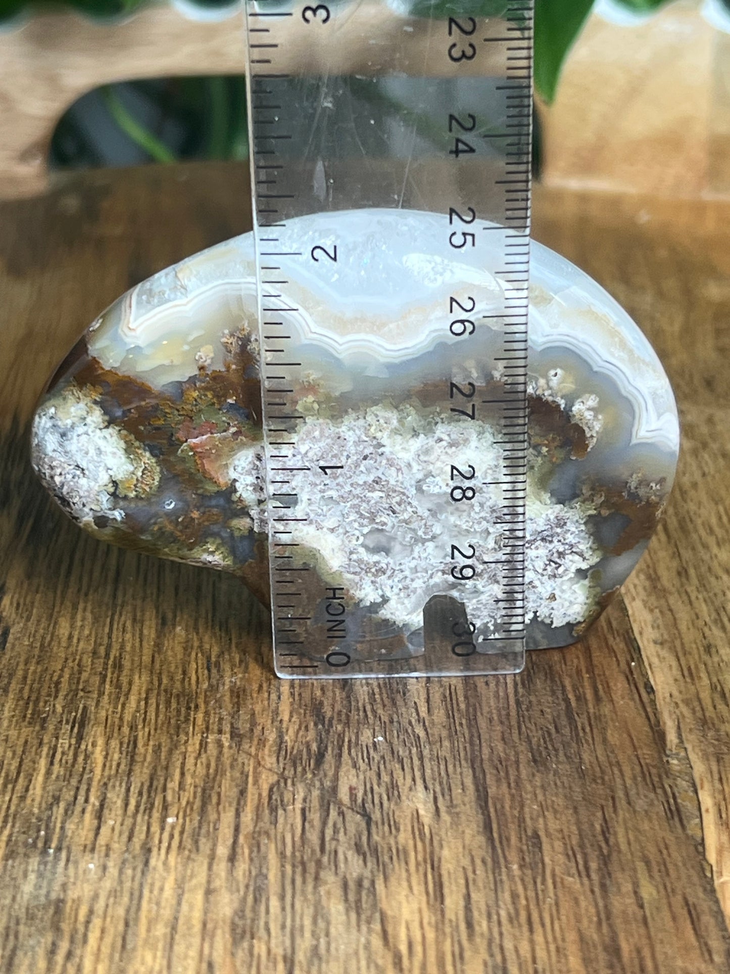 Scenic Moss Agate Bear NS