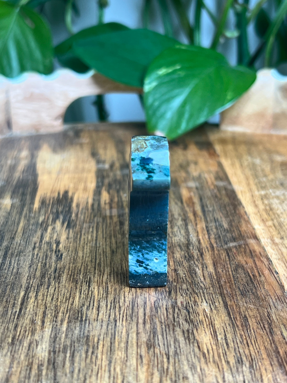 Blue Green Jasper Dog: BE