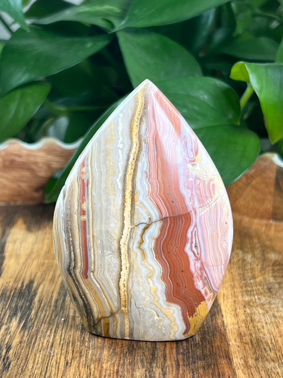 Crazy Lace Agate Flame: EH