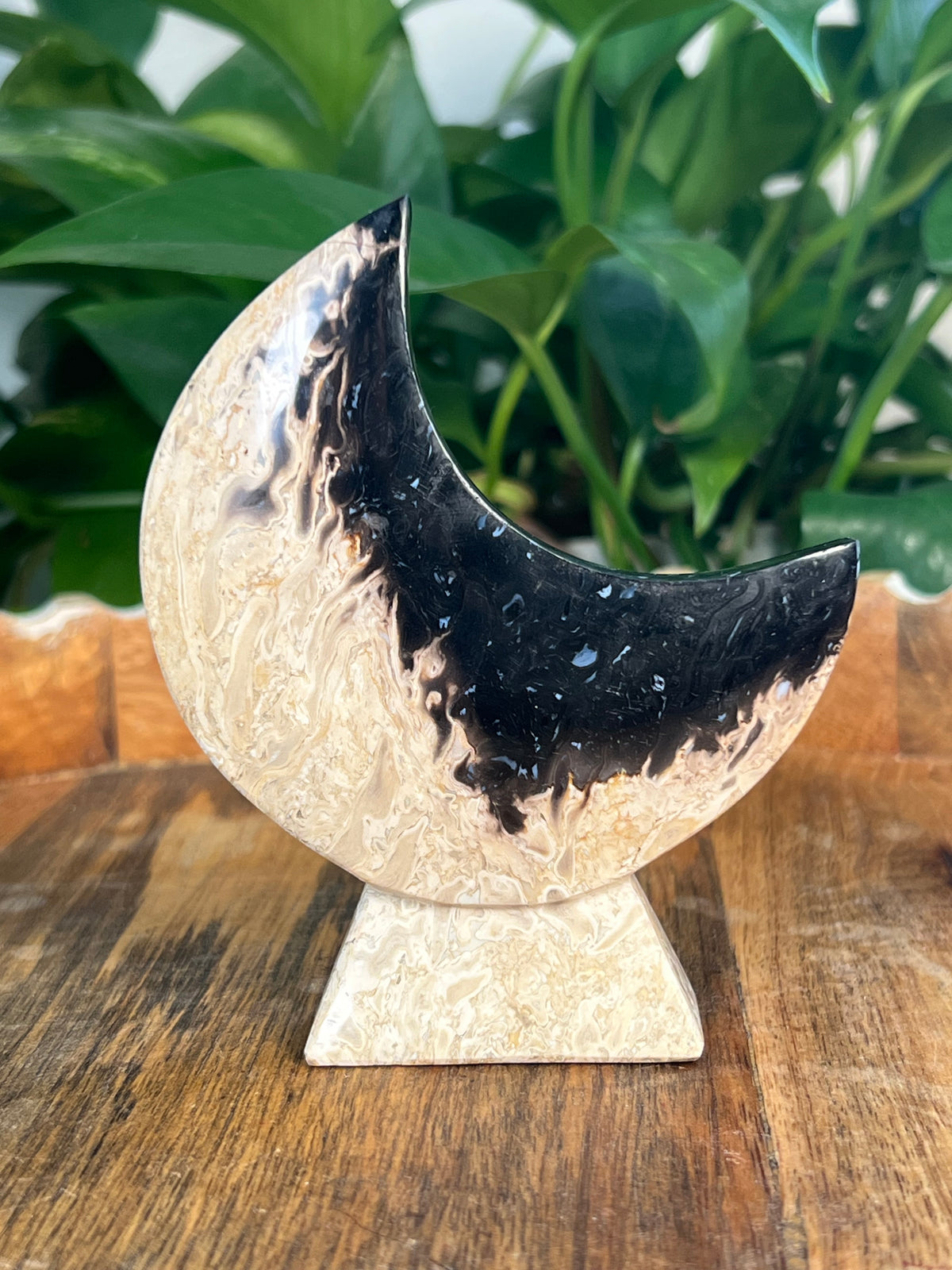 Palm Root Self Standing Moons