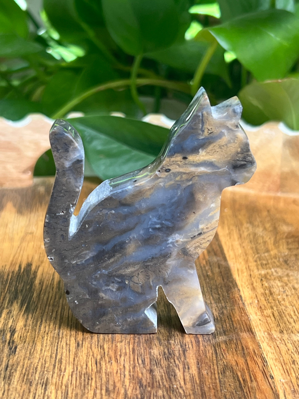 Dendritic Tiger Agate Cat: BE