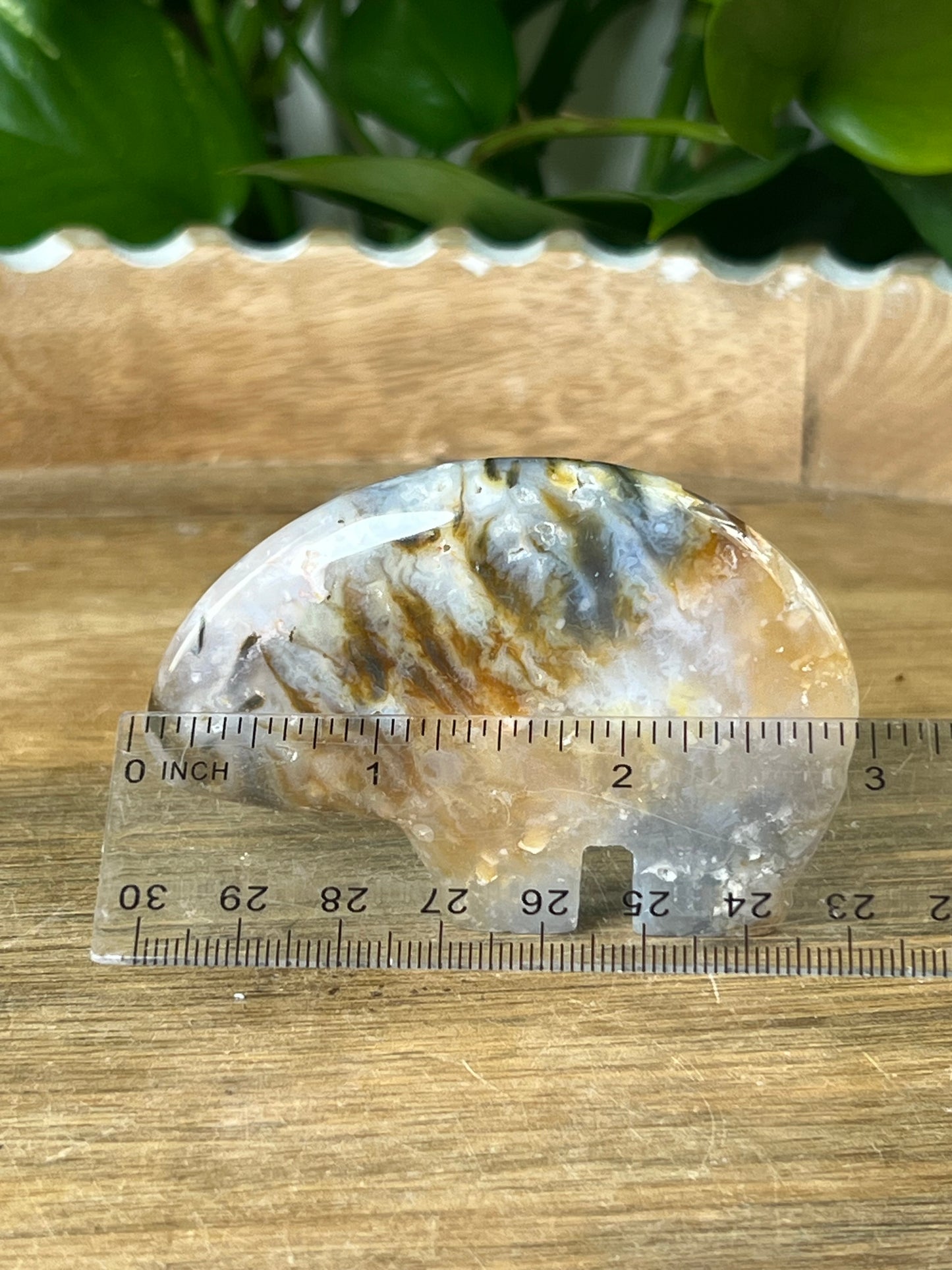 Rainbow Plume Agate Bear