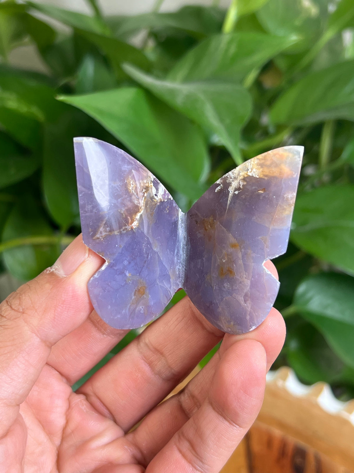 Purple Chalcedony 3D Butterfly: TV