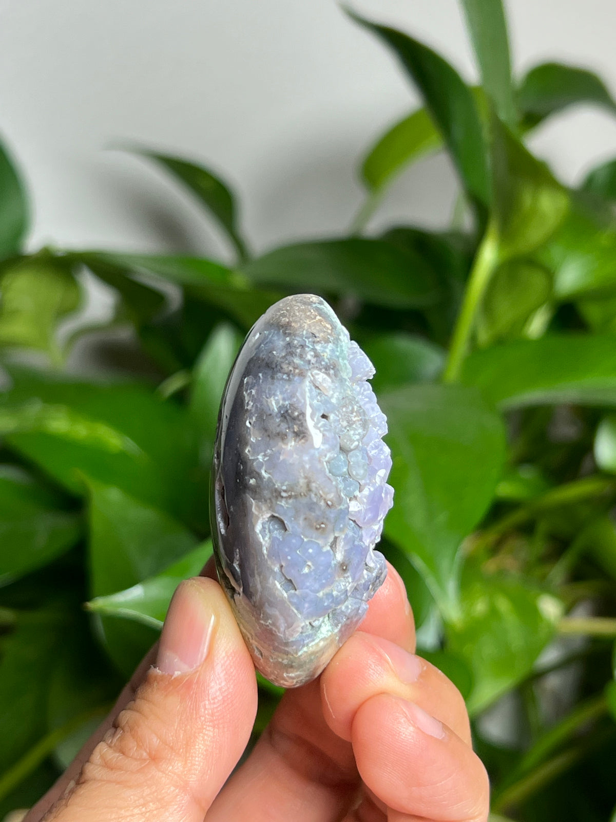 Grape Agate Palmstone: NA