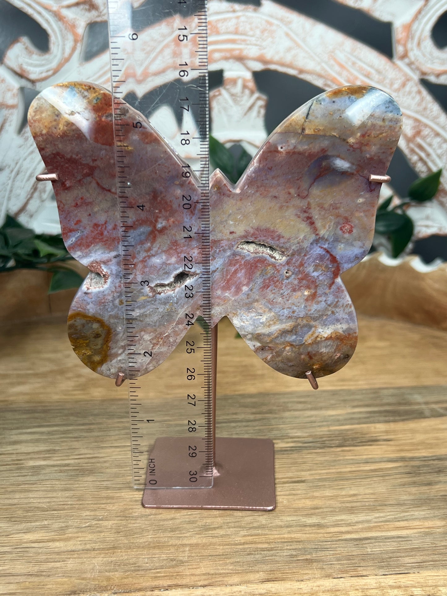 River Jasper Butterfly