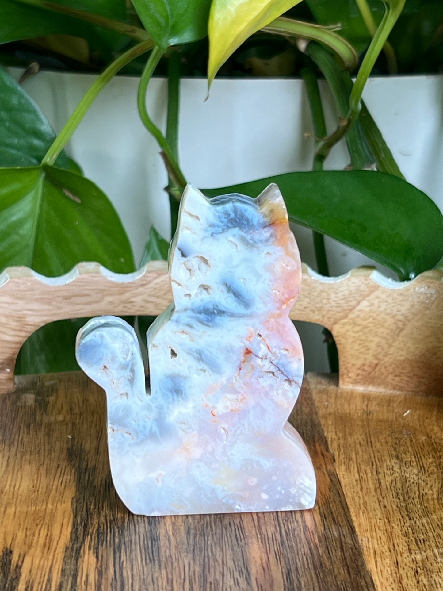 Rainbow Plume Agate Cat NC