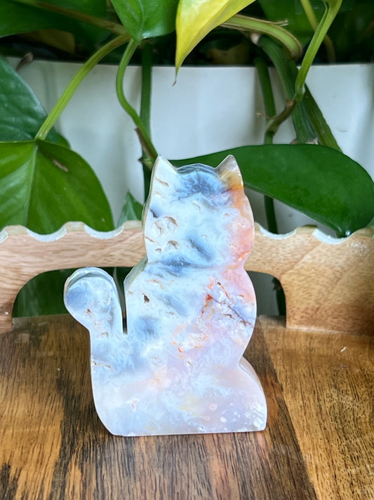 Rainbow Plume Agate Cat NC