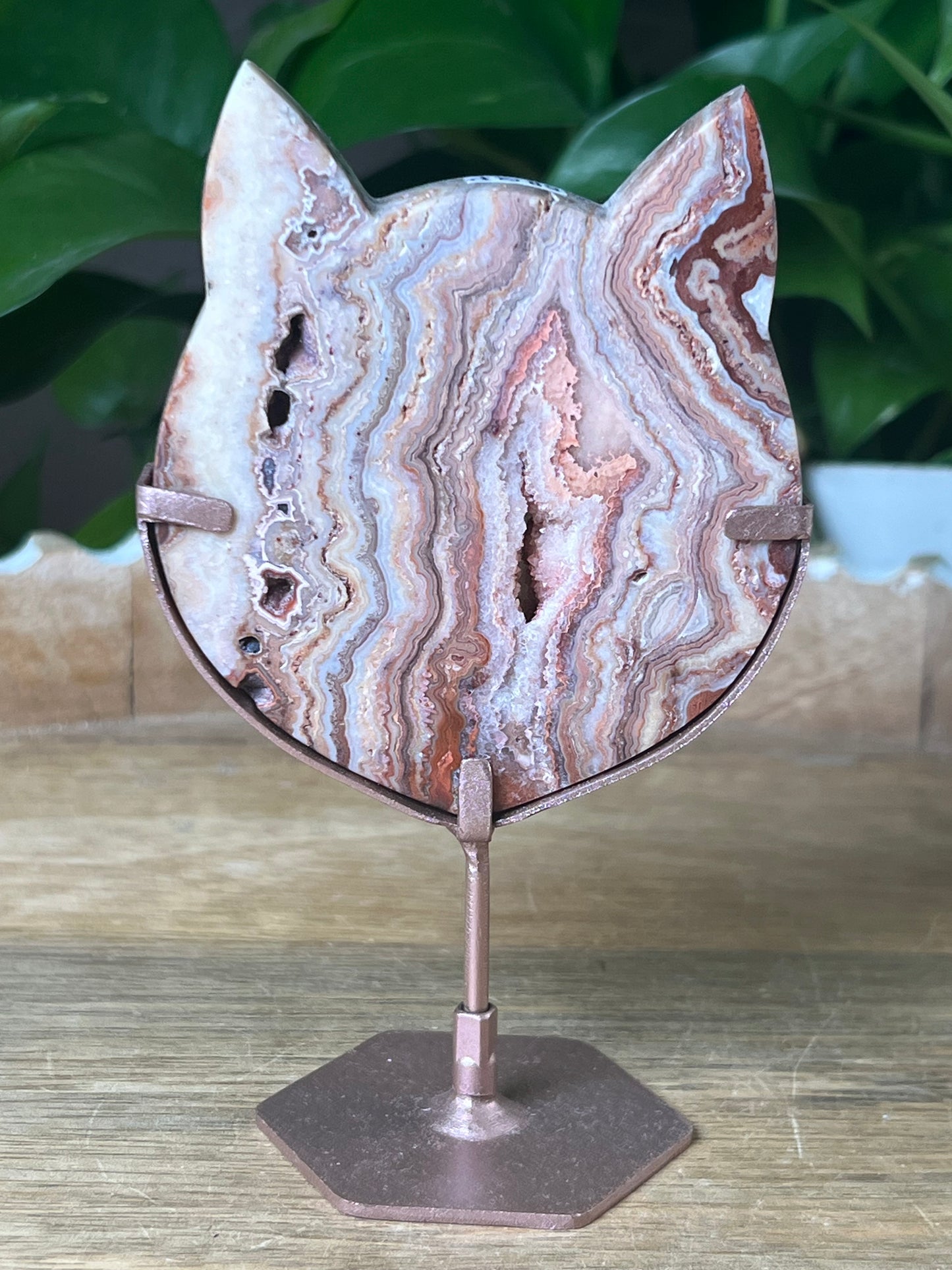 Crazy Lace Agate Cat