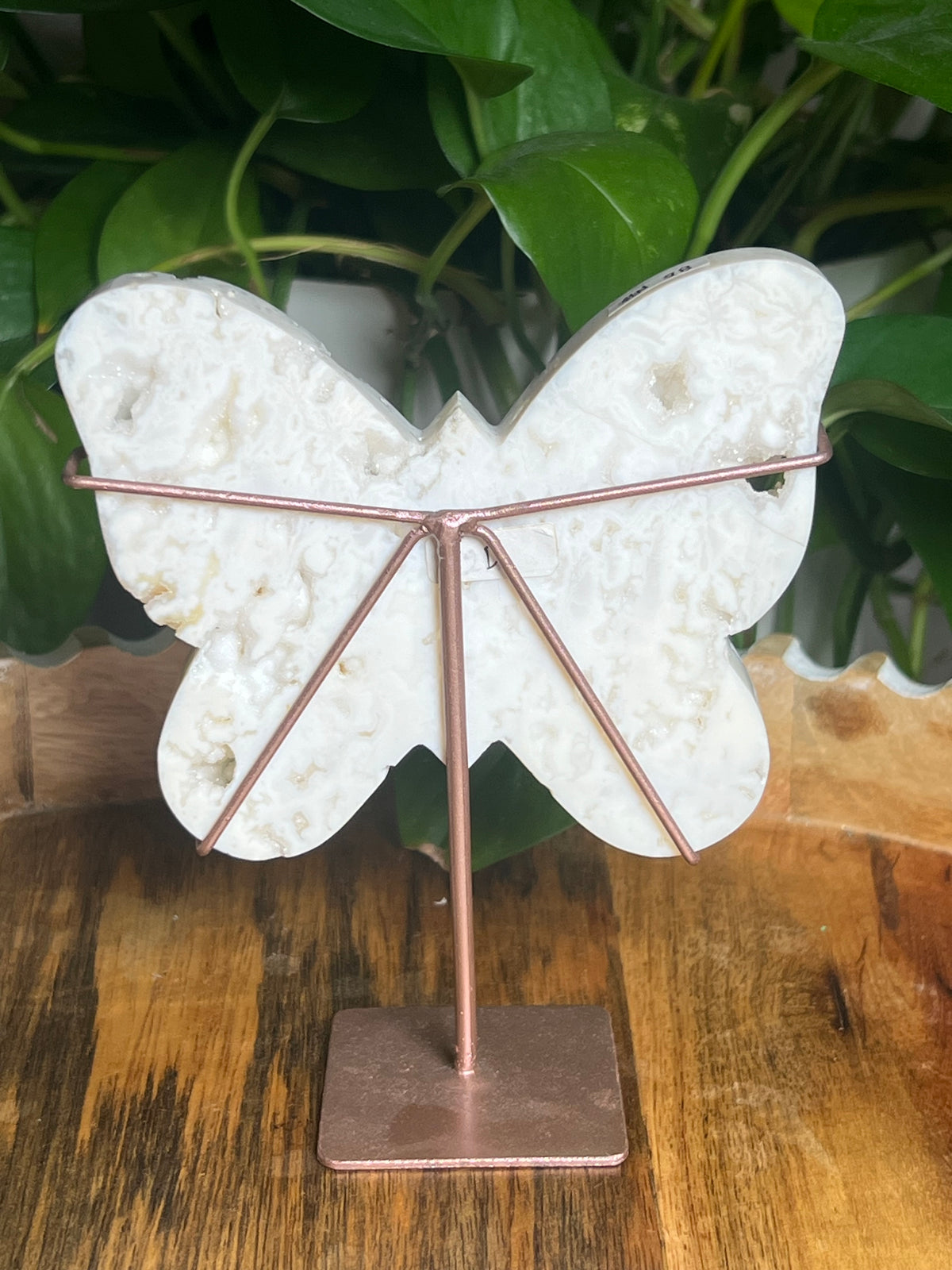 White Plume Agate Butterfly: NB