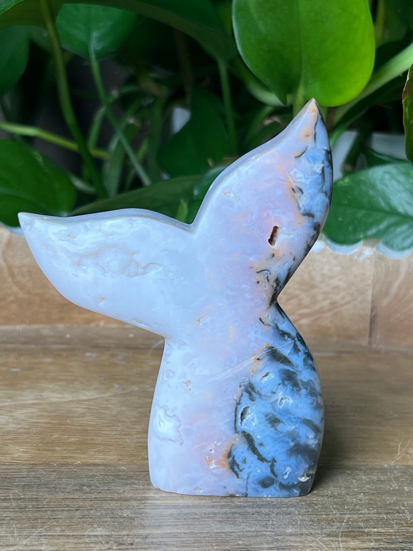 Rainbow Plume Agate Tail: RG