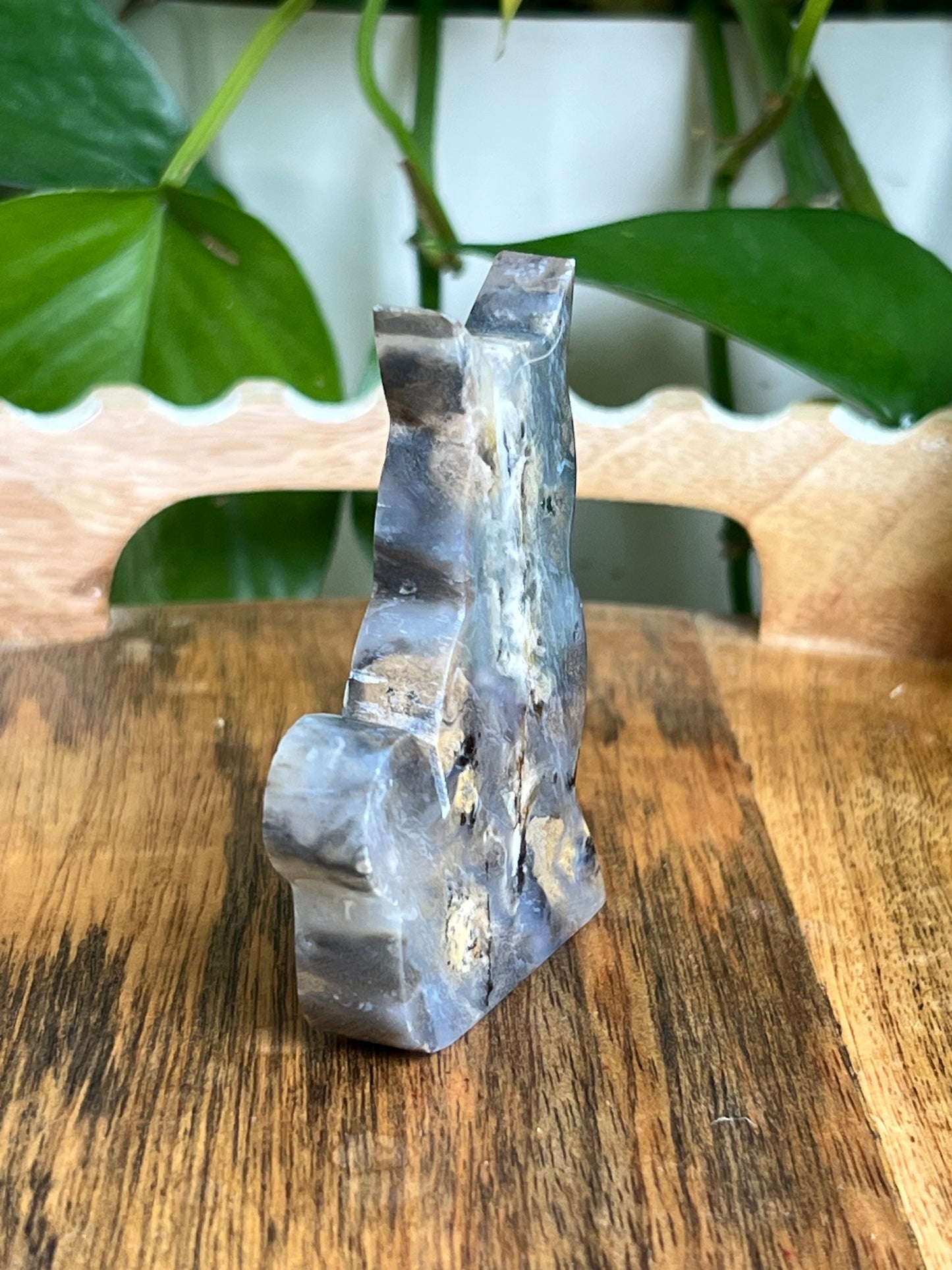 Dendritic Tiger Agate Cat AB