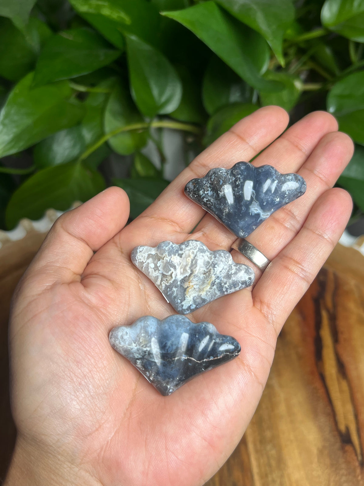 Blue Plume Agate Shells