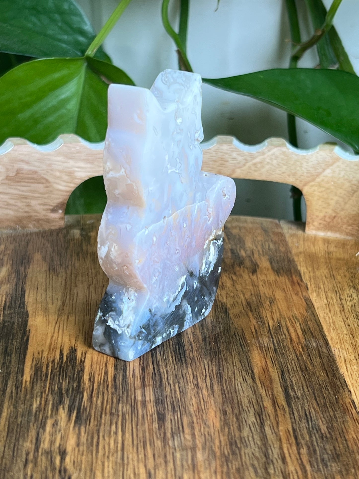 Rainbow Plume Agate Cat NX