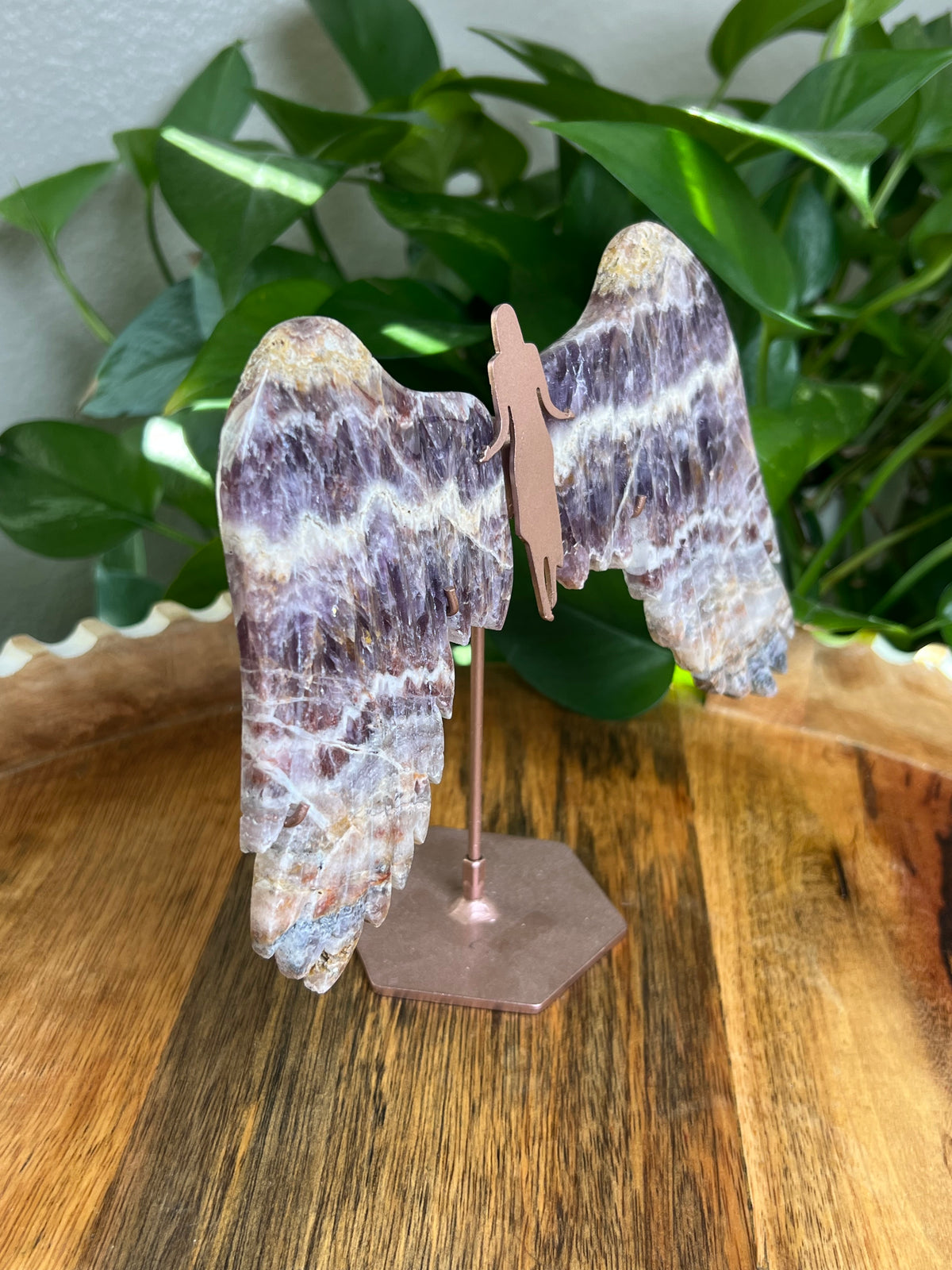 Indonesian Amethyst Wings: SE