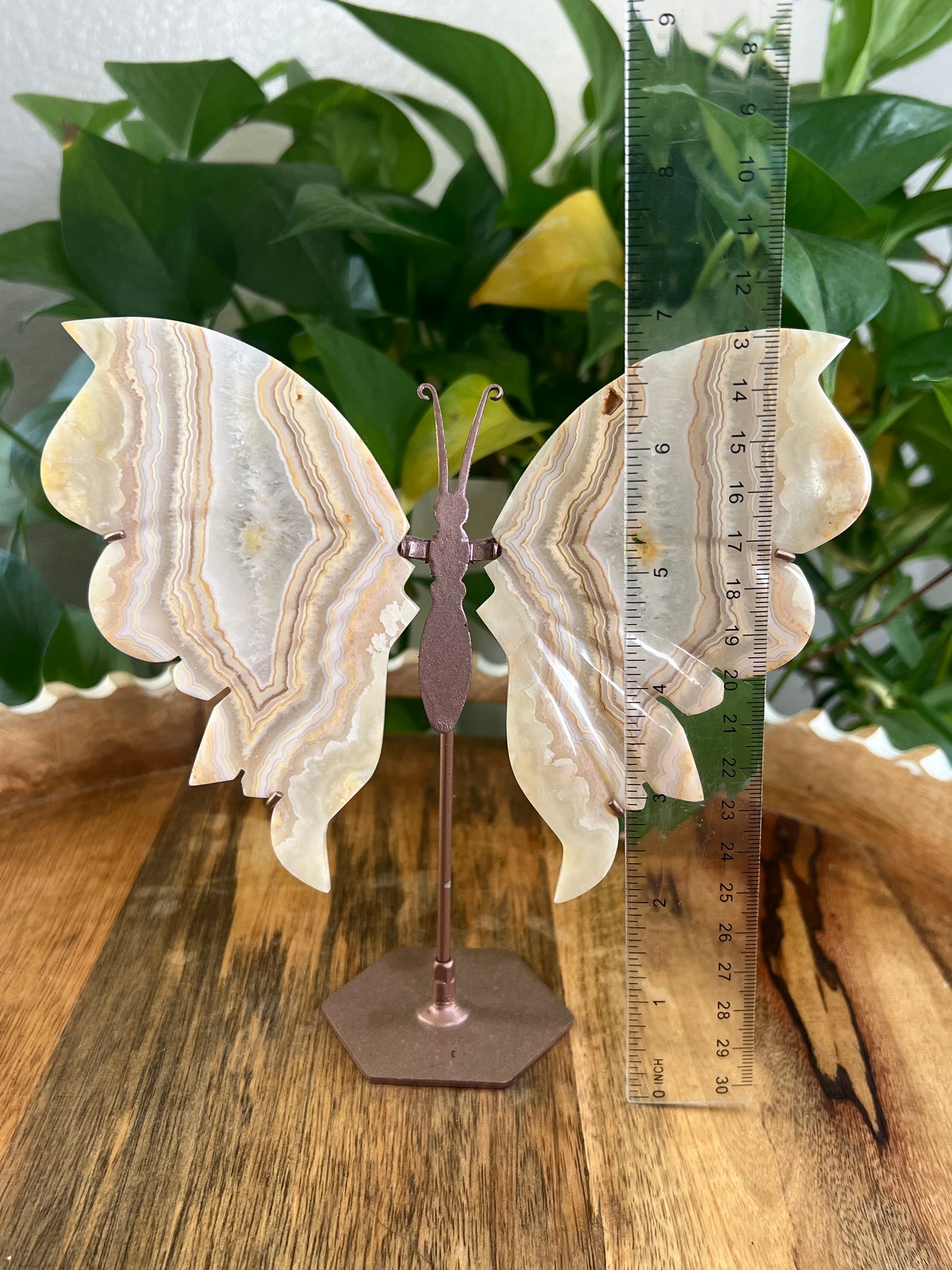 Yellow Crazy Lace Agate Wings Q