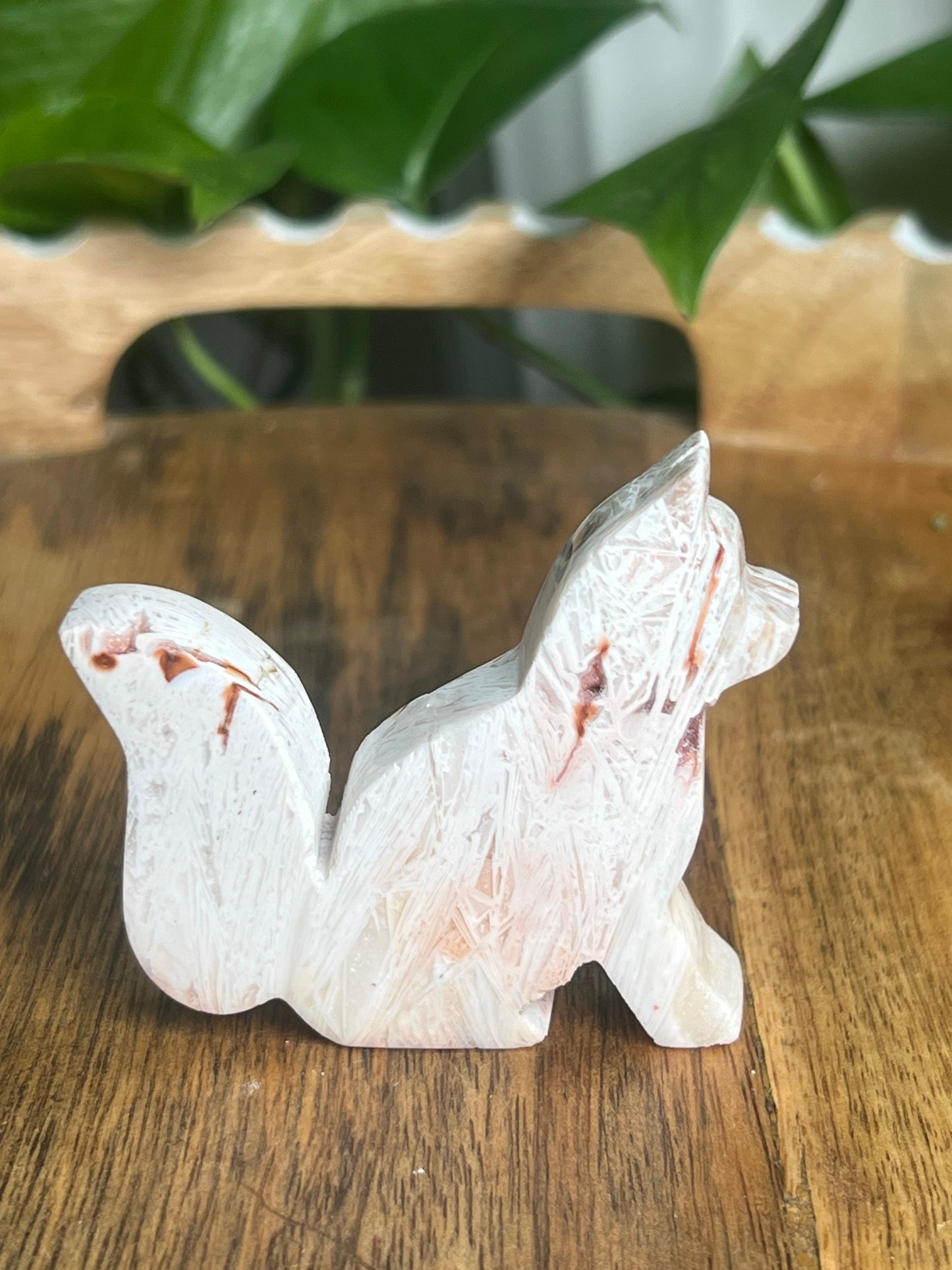 Tube Agate Fox BG
