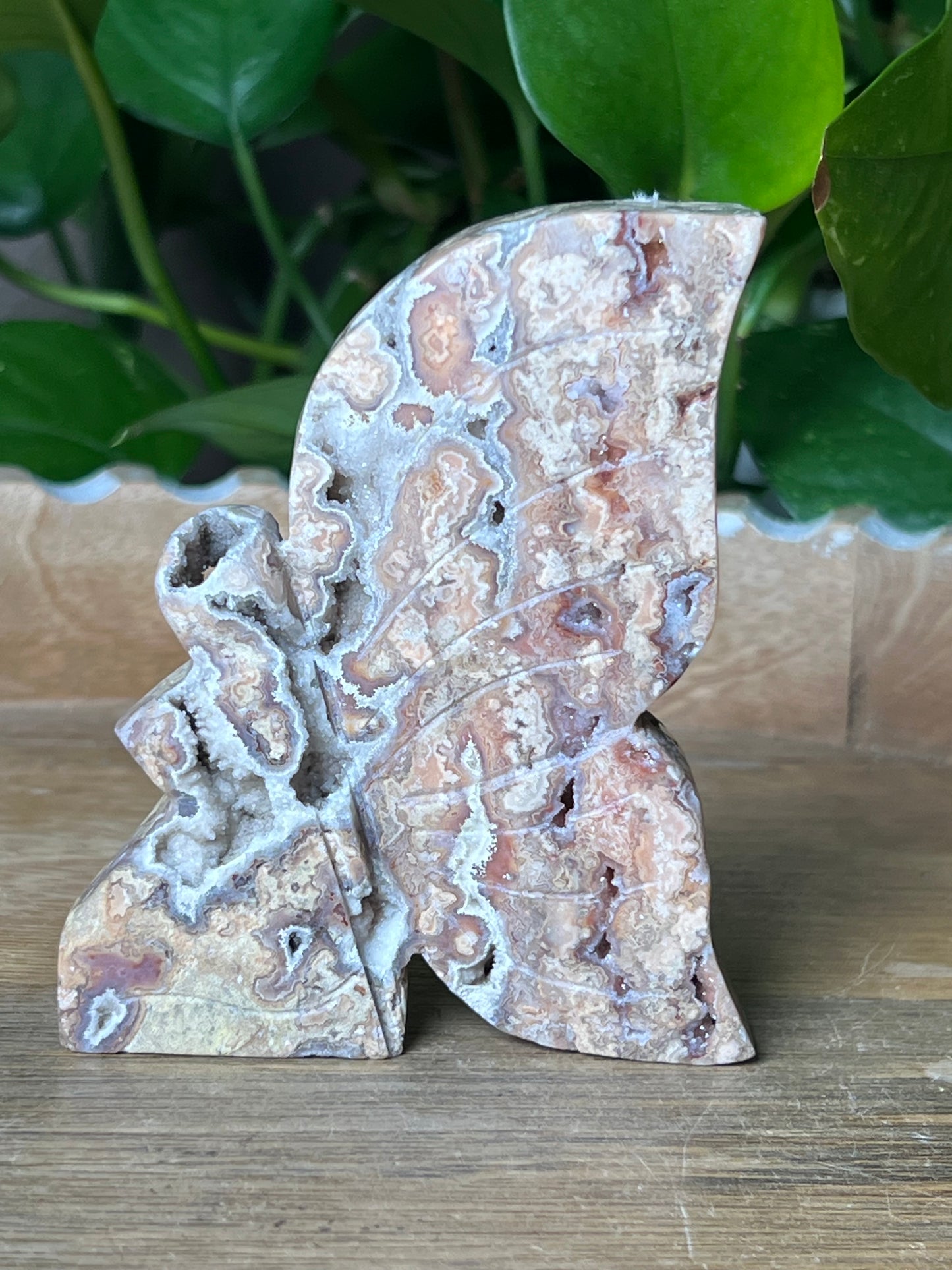 Crazy Lace Agate Fairy