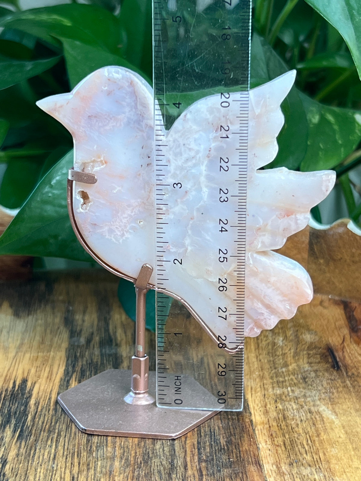 Pink Carnelian Bird: AC