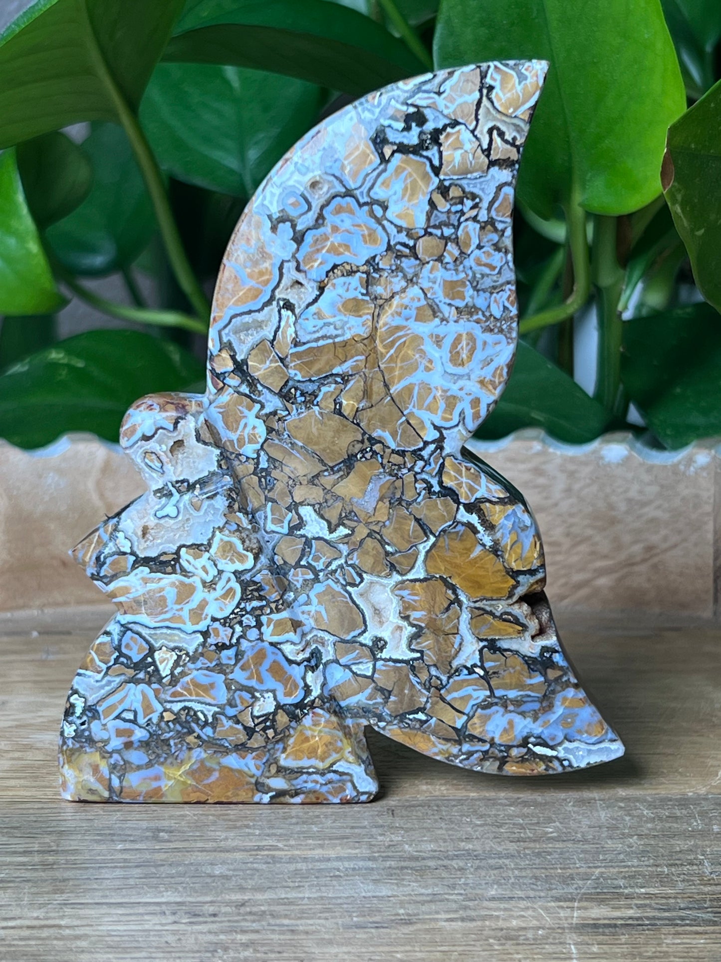 Brecciated Jasper Fairy