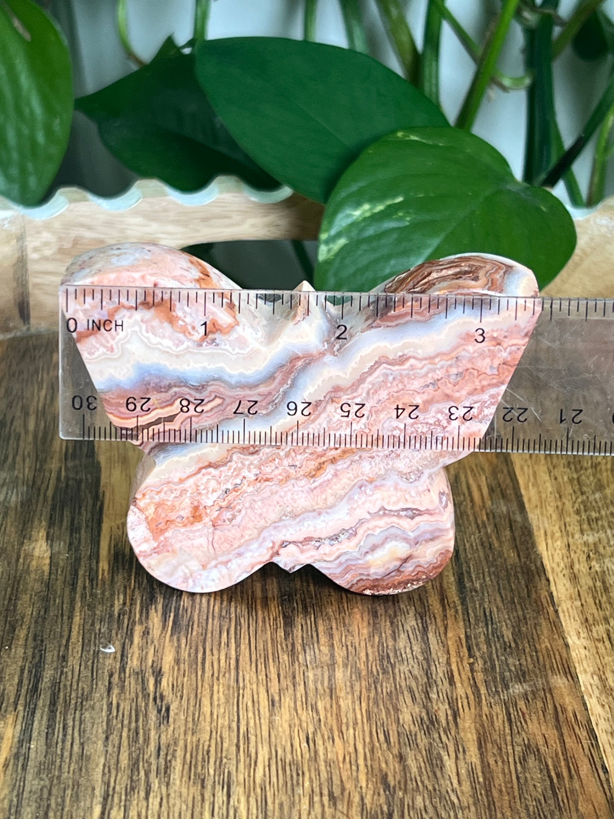 Crazy Lace Agate Butterfly: E