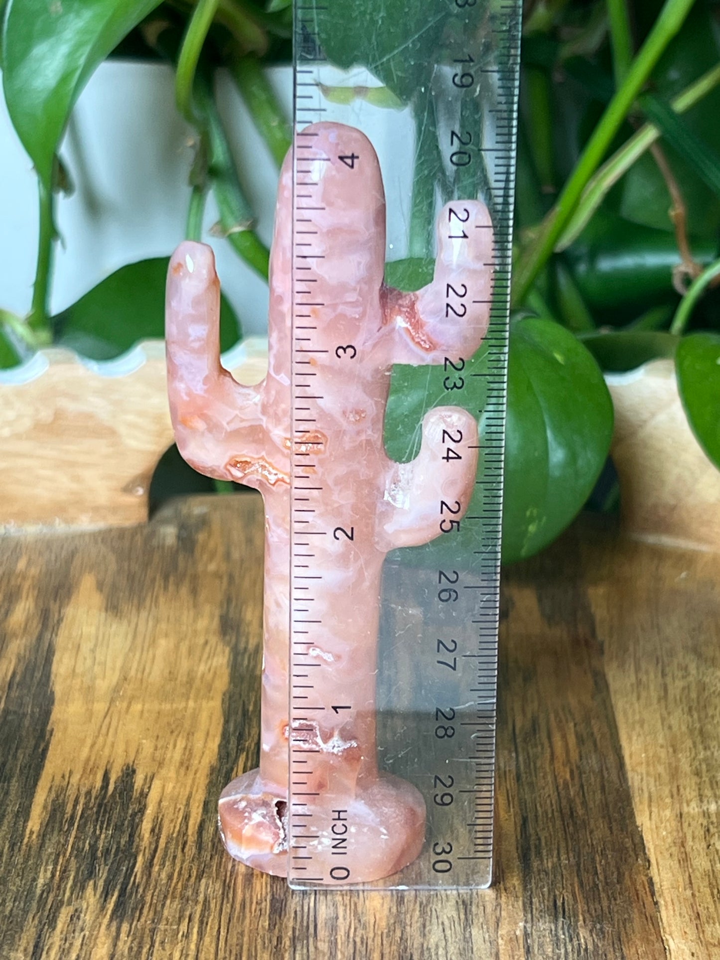 Pink Carnelian Cactus