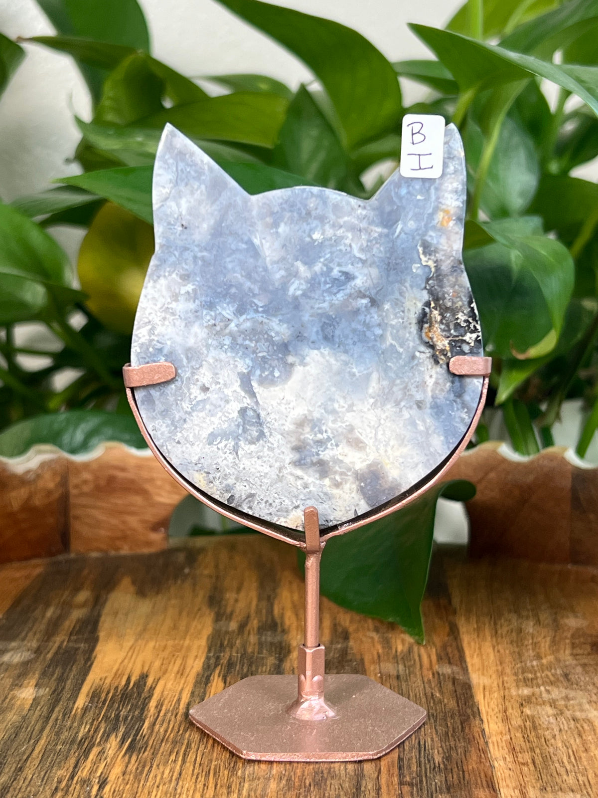 Blue Plume Agate Cat Heads