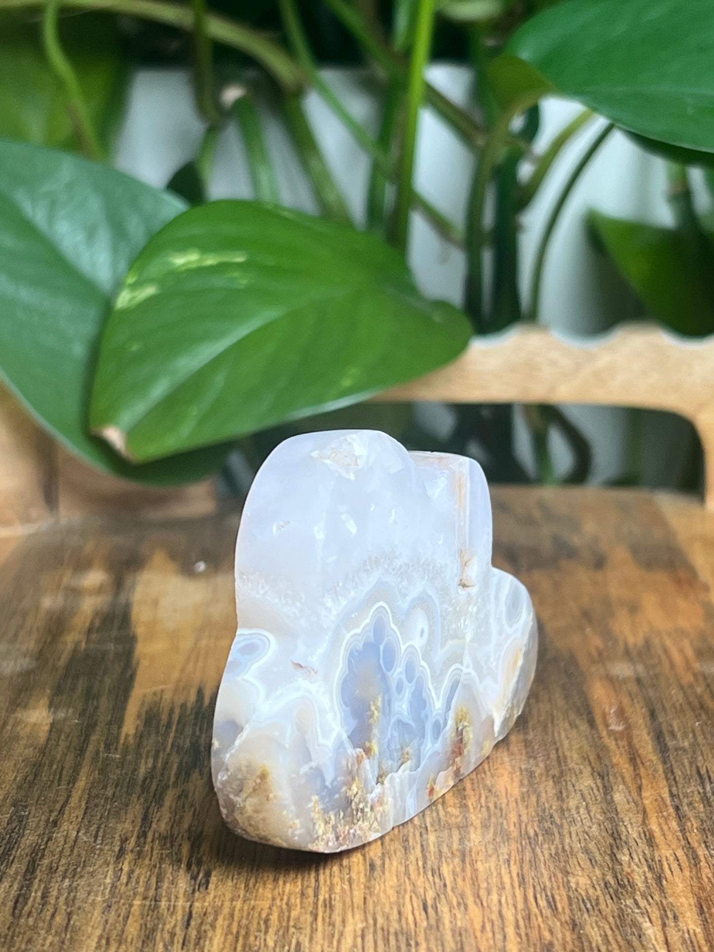 Scenic Moss Agate Cloud: VF