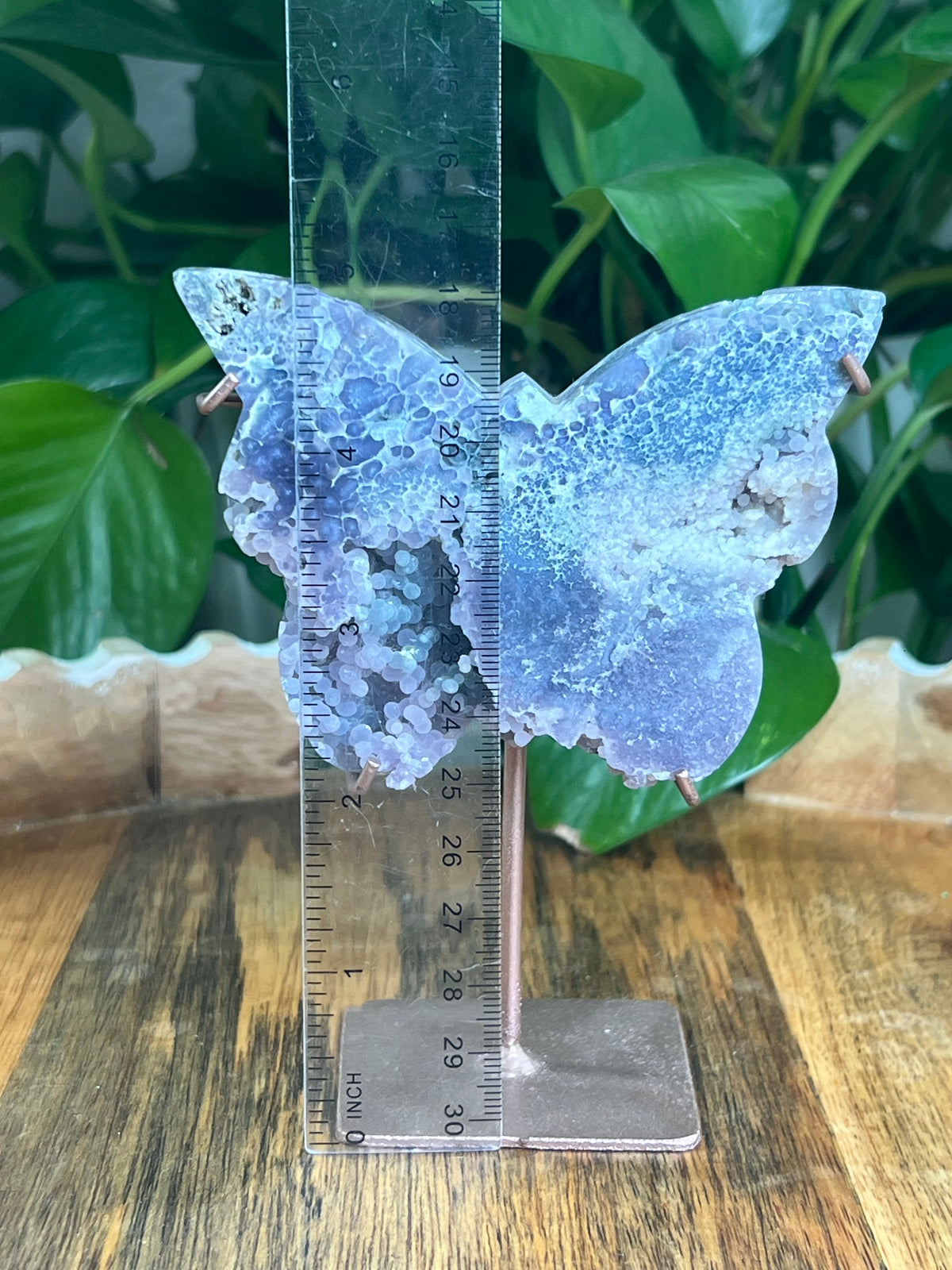 Grape Agate Butterfly: AD