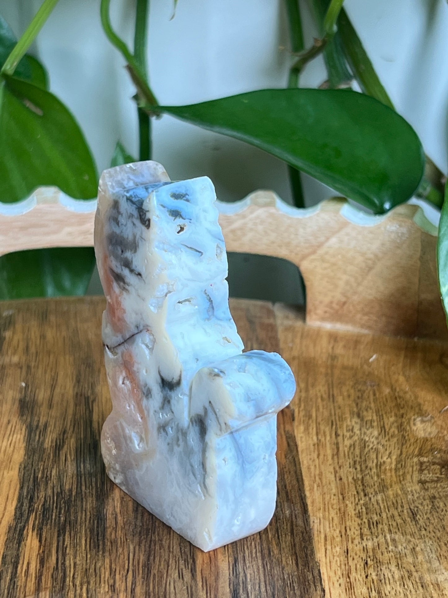 Rainbow Plume Agate Cat NC