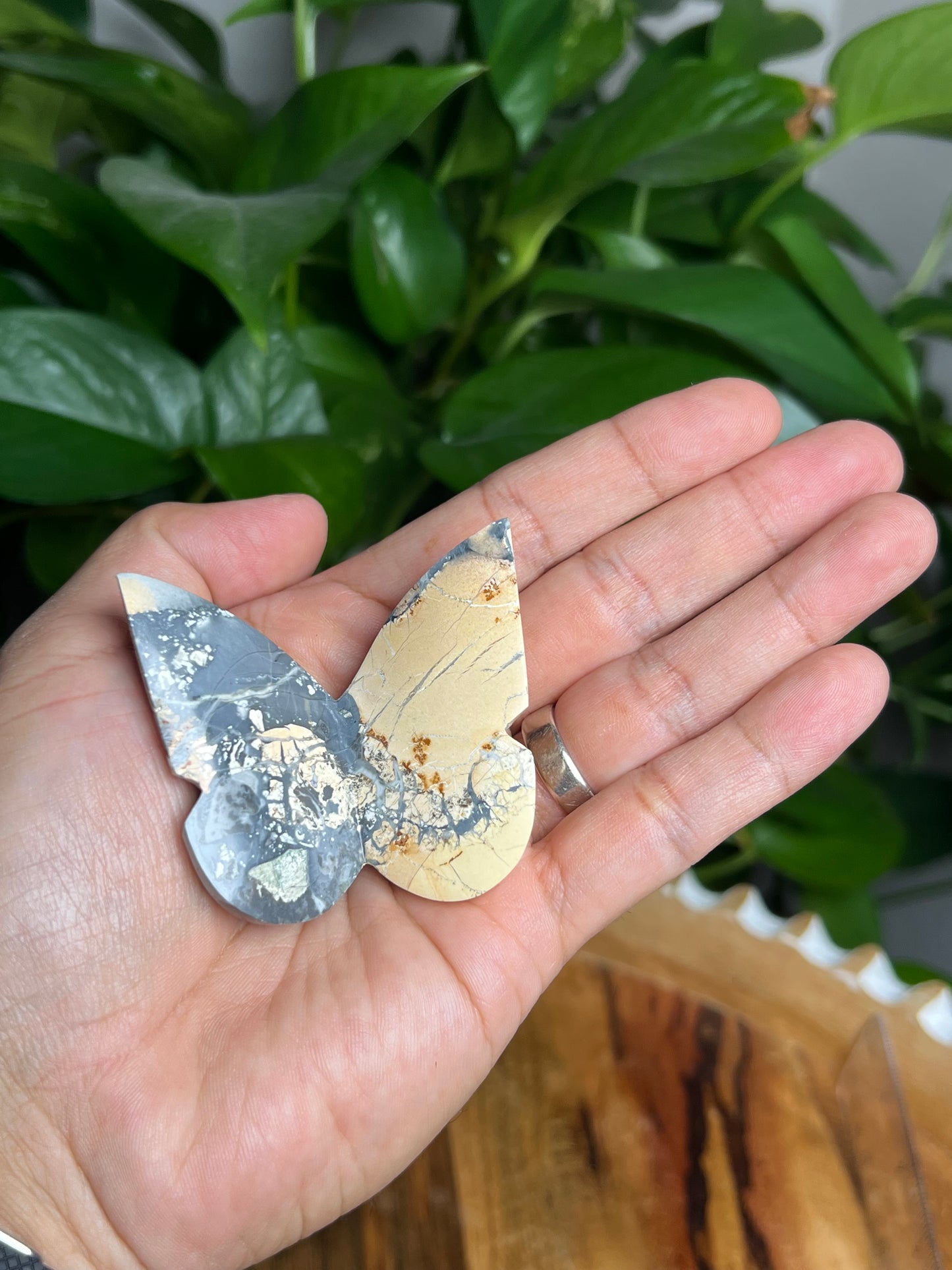 Maligano 3D Butterfly: AM